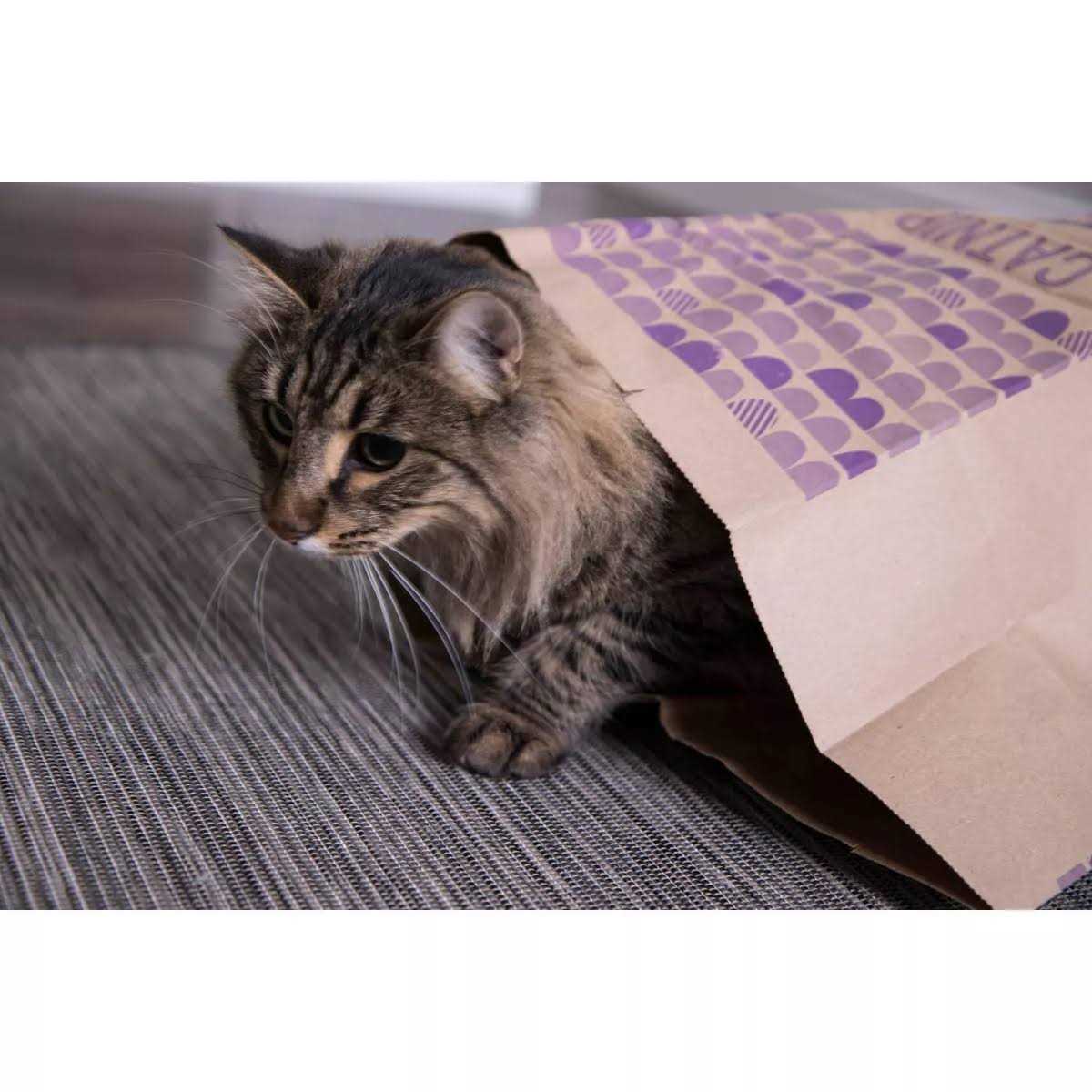 SmartyKat Catnip Caves - Healthber