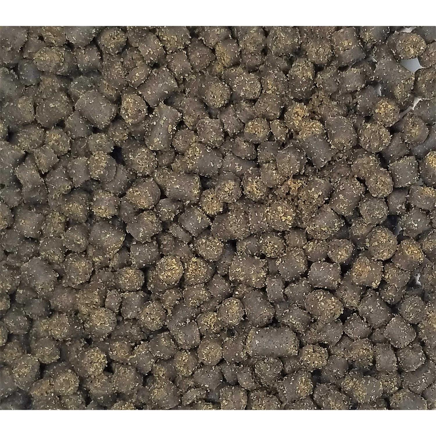 Invert Aquatics Soft Pellets for Axolotls Moist Sinking Diet for Axolotl - Healthber