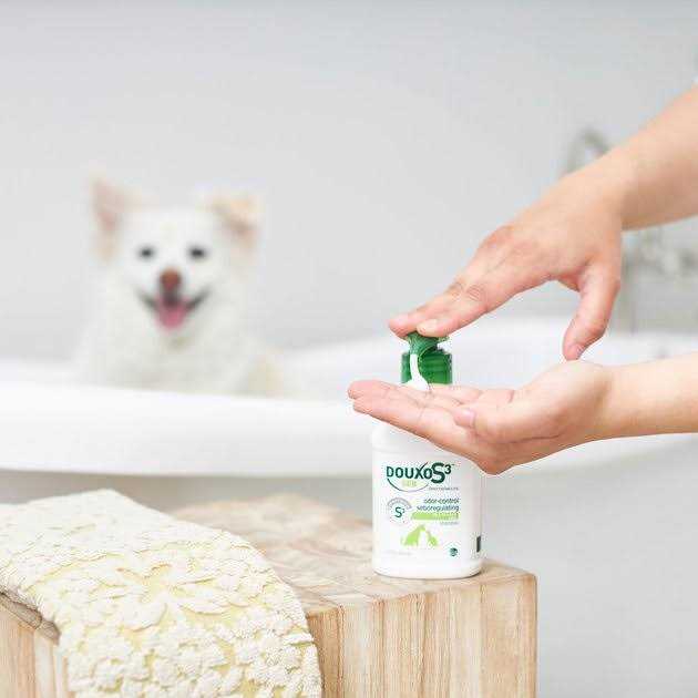 Douxo S3 SEB Shampoo - Healthber