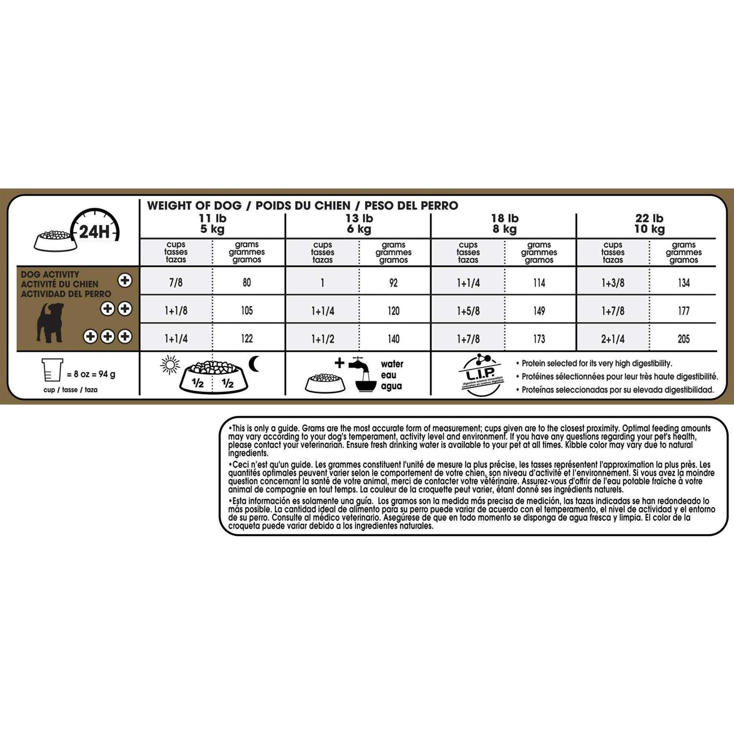 Royal Canin Breed Health Nutrition Adult Jack Russell Terrier Dry Dog Food - Healthber
