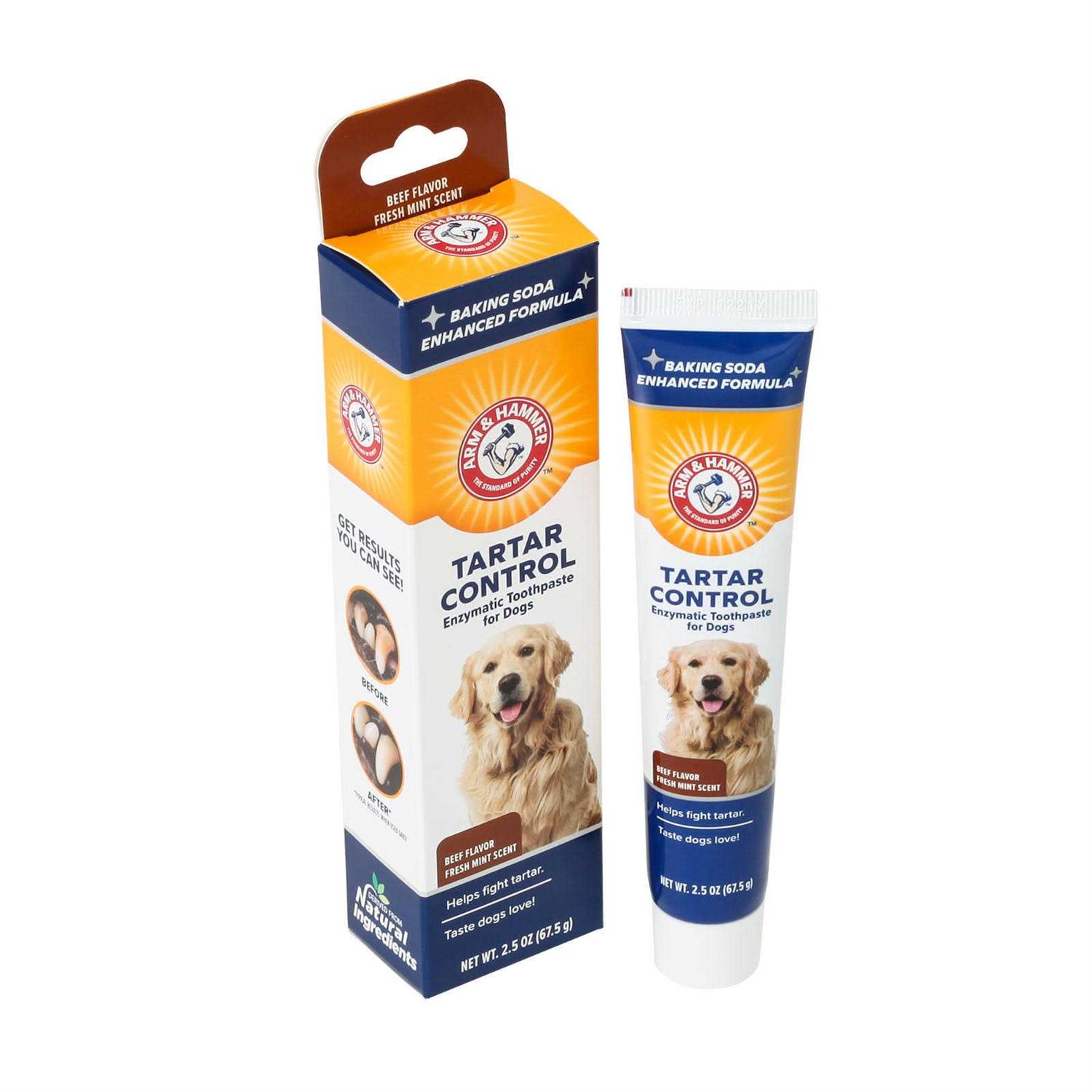 Arm & Hammer Tartar Control Enzymatic Toothpaste for Dogs - Healthber