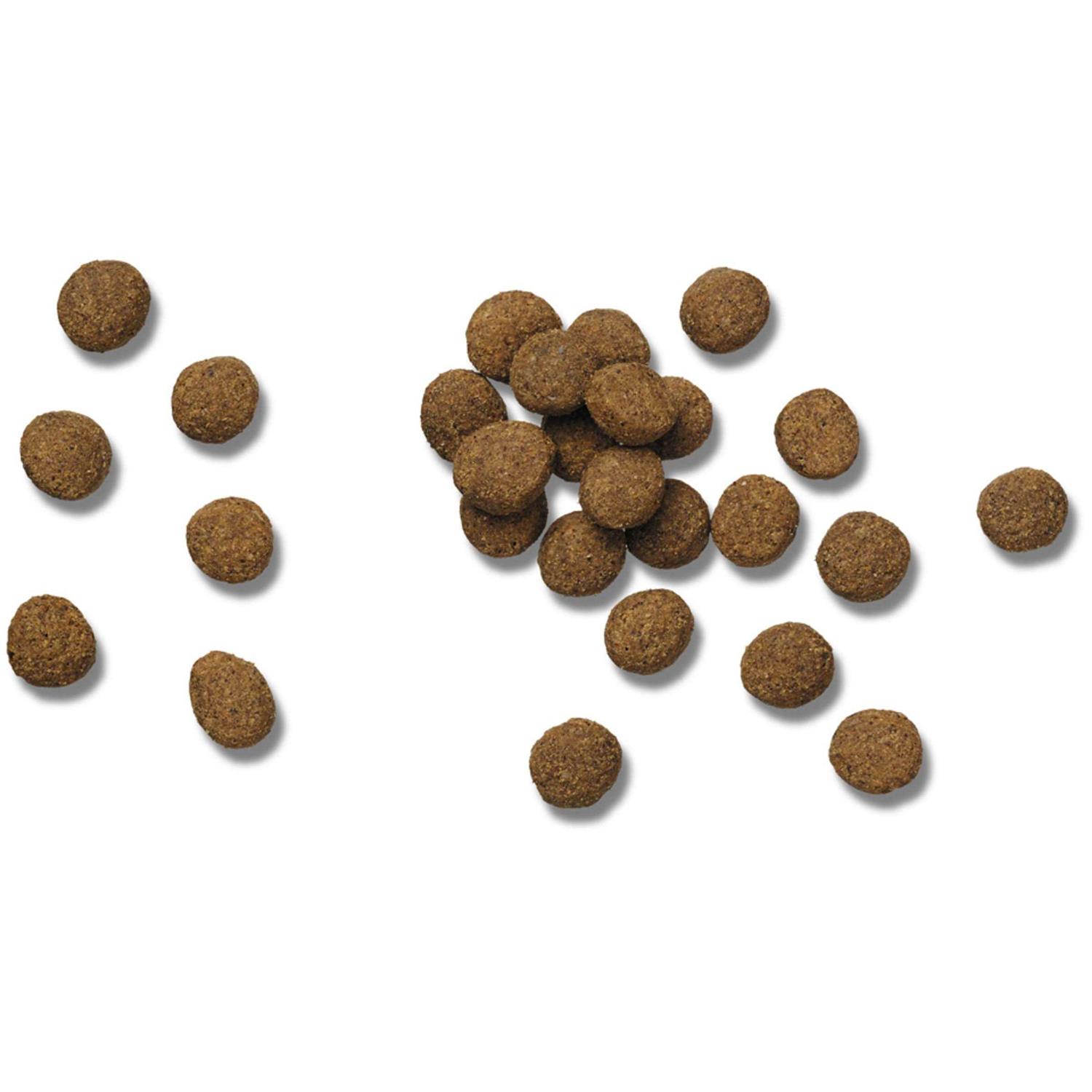 Purina Pro Plan Veterinary Diets DRM Dermatoligic Management Naturals Dry Dog Food - Healthber