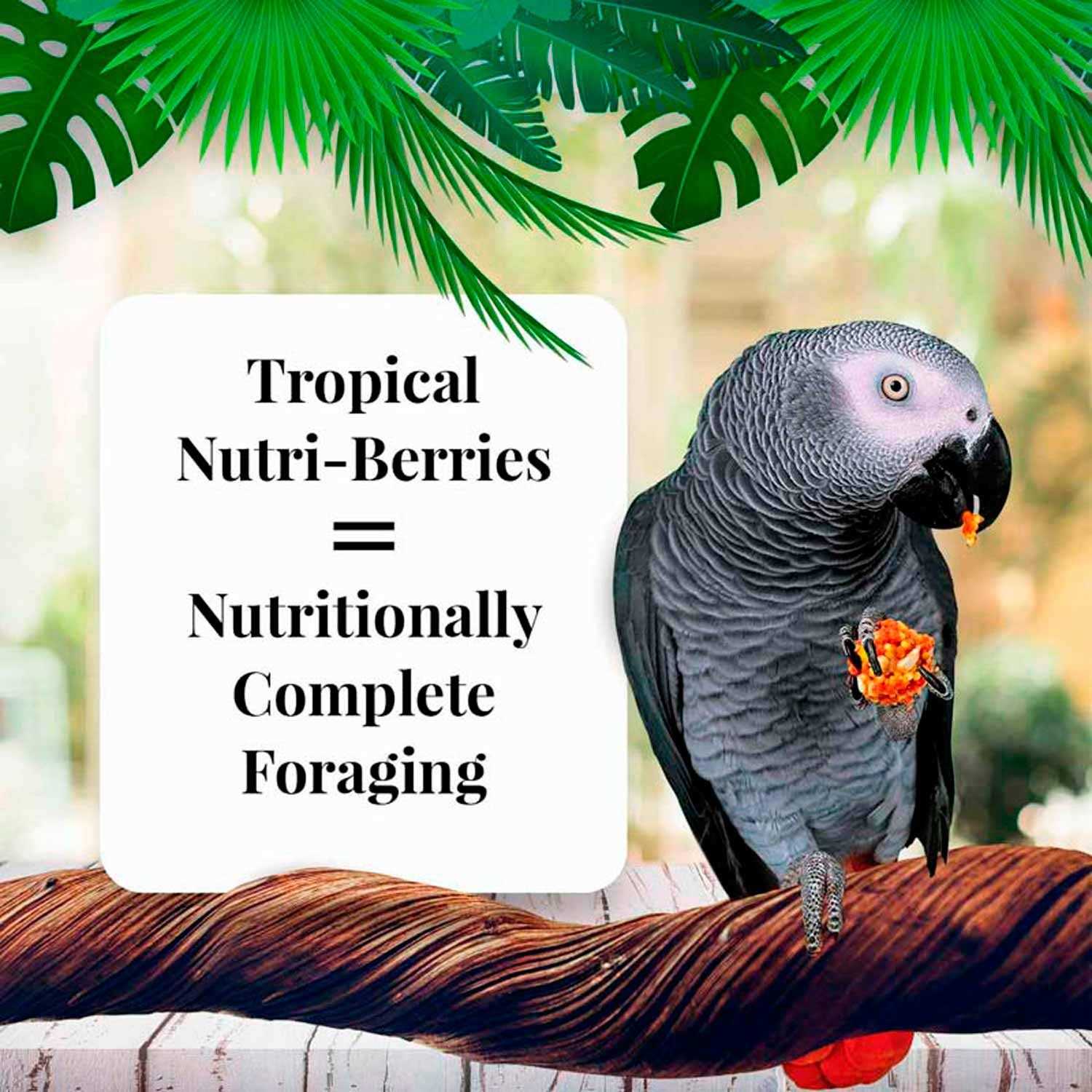 Lafeber Tropical Fruit Nutri-Berries Parrot Food - Healthber