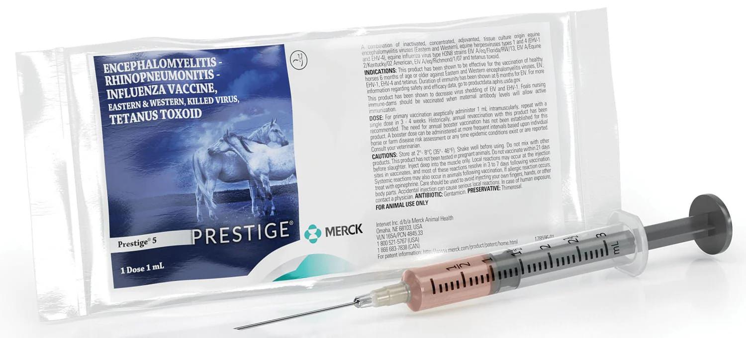 Prestige 5 - Healthber