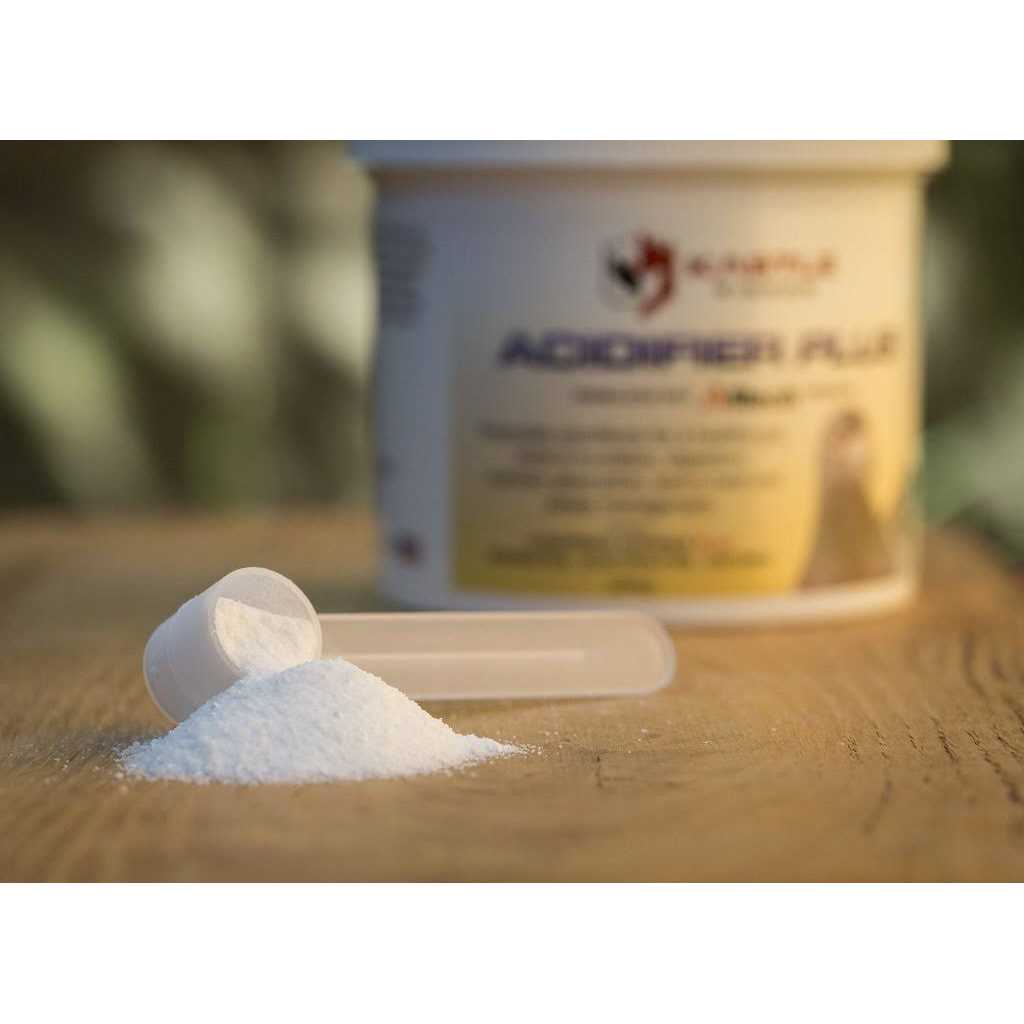 Kastle Acidifier Plus - Healthber