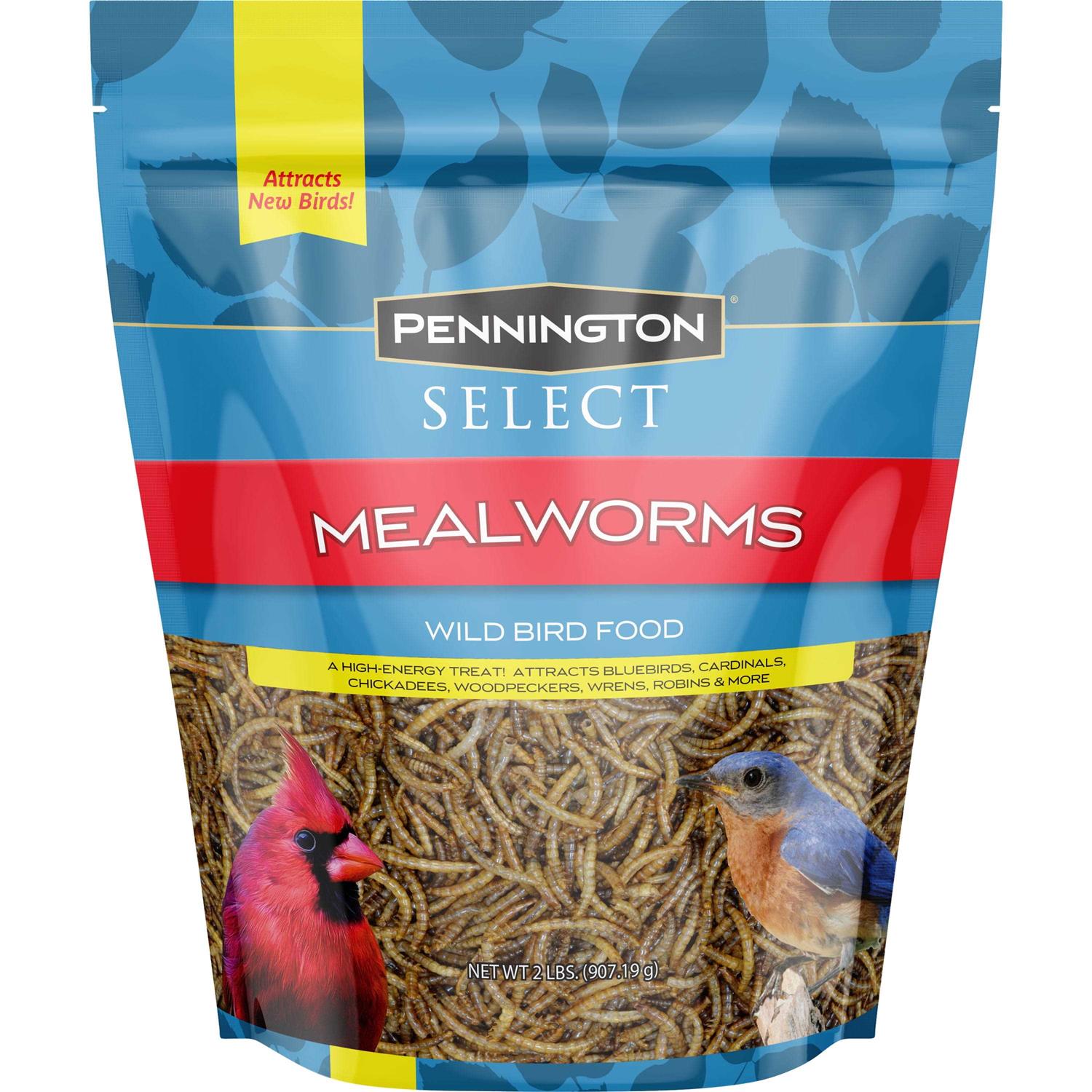 Pennington Mealworms Wild Bird Food - Healthber