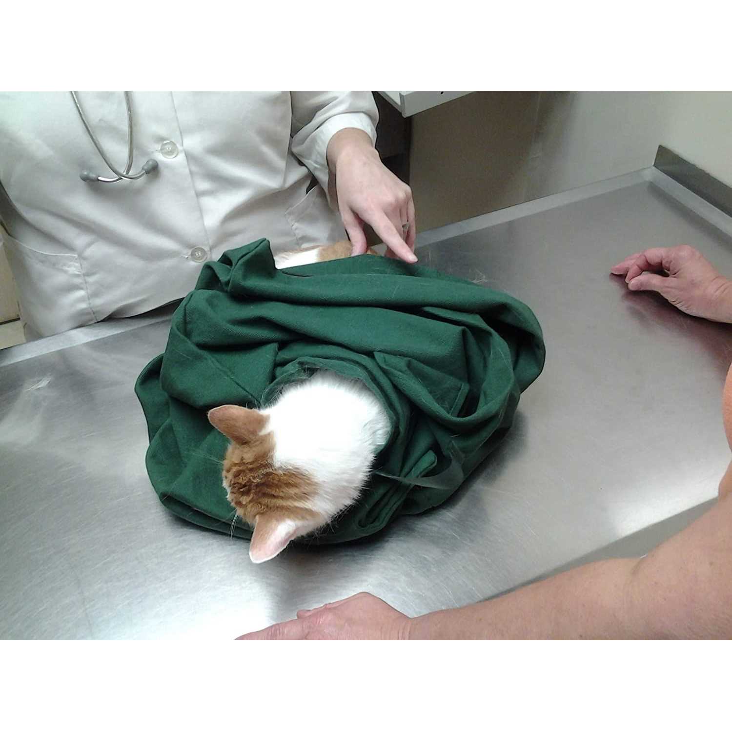 Cat-in-the-Bag Cozy Comfort Carrier - Healthber