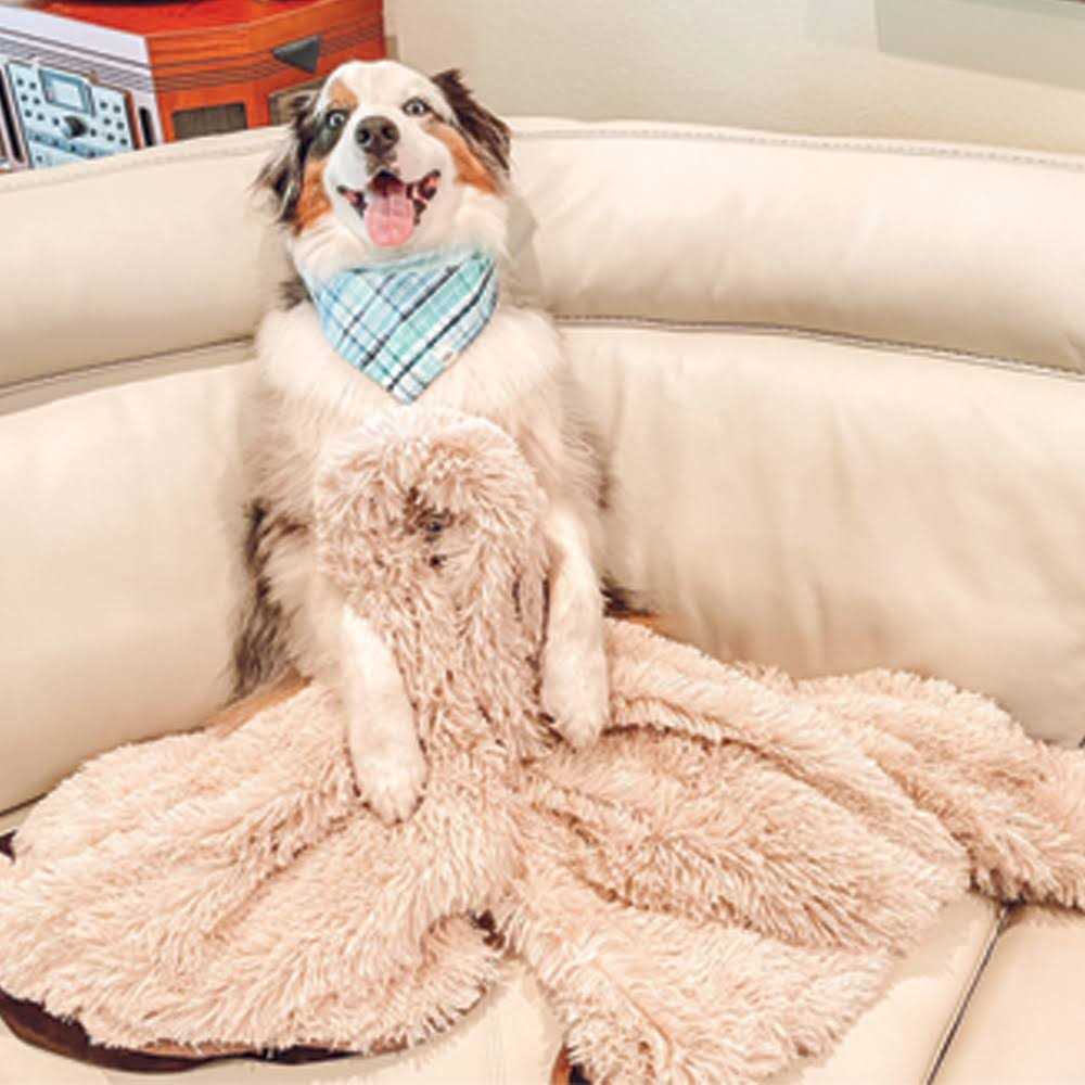 PawProof Throw Blanket - Healthber