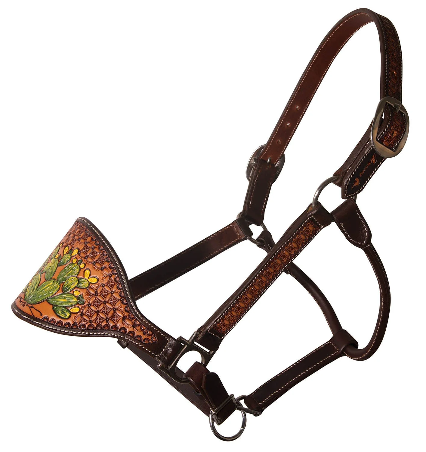 Professional's Choice Cactus Bronc Nose Leather Halter - Healthber