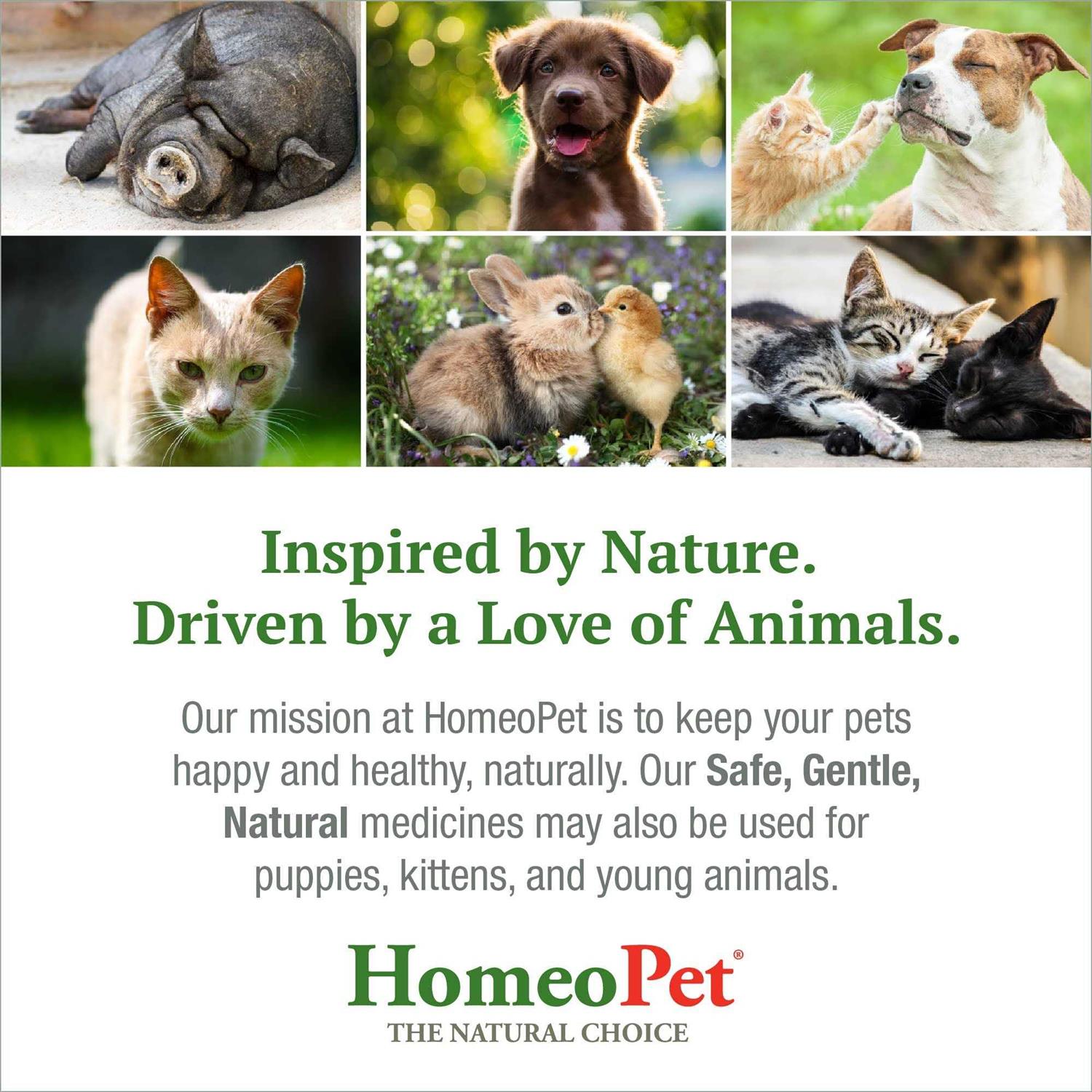 HomeoPet Feline UTI+ - Healthber