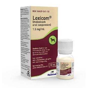Loxicom Meloxicam for Dogs by Norbrook - Healthber