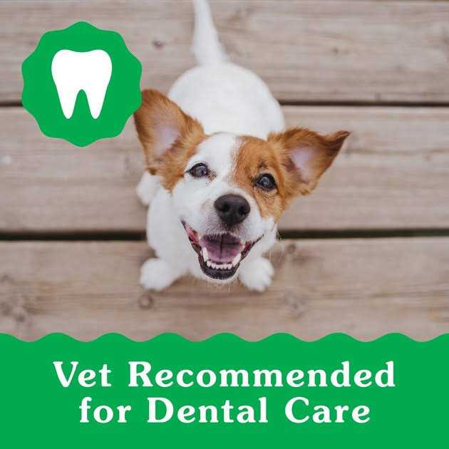 Greenies Puppy Dental Dog Treats - Healthber