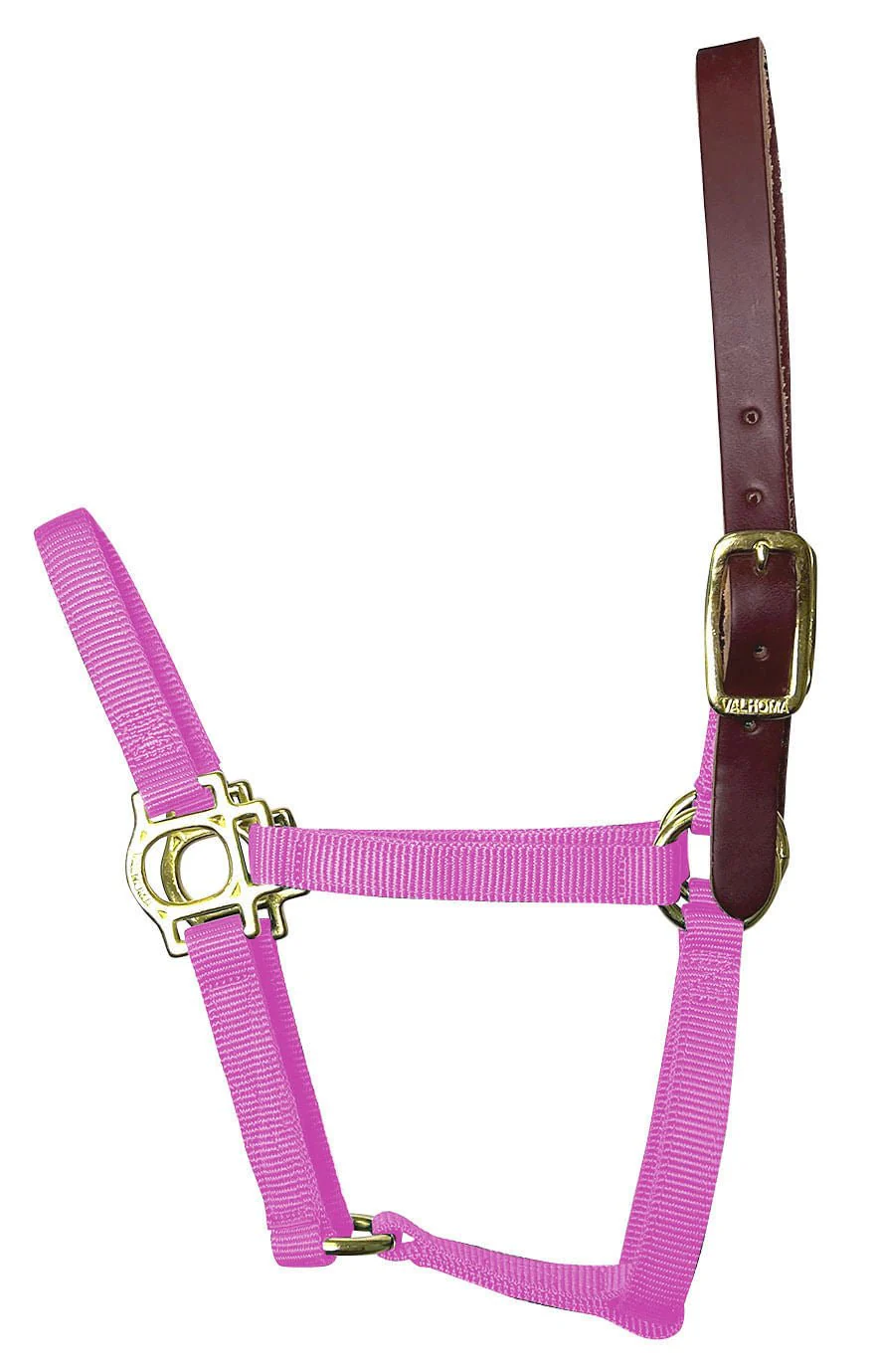 Valhoma Foal & Yearling Premium Breakaway Nylon Halter with Leather Crown - Healthber