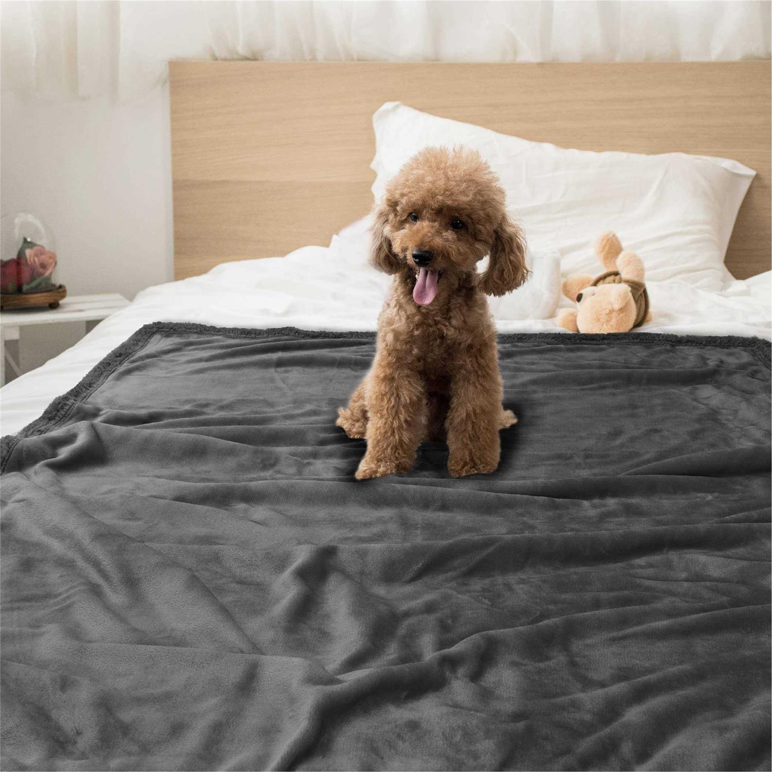 Petami Waterproof Fleece Pet Blanket - Healthber