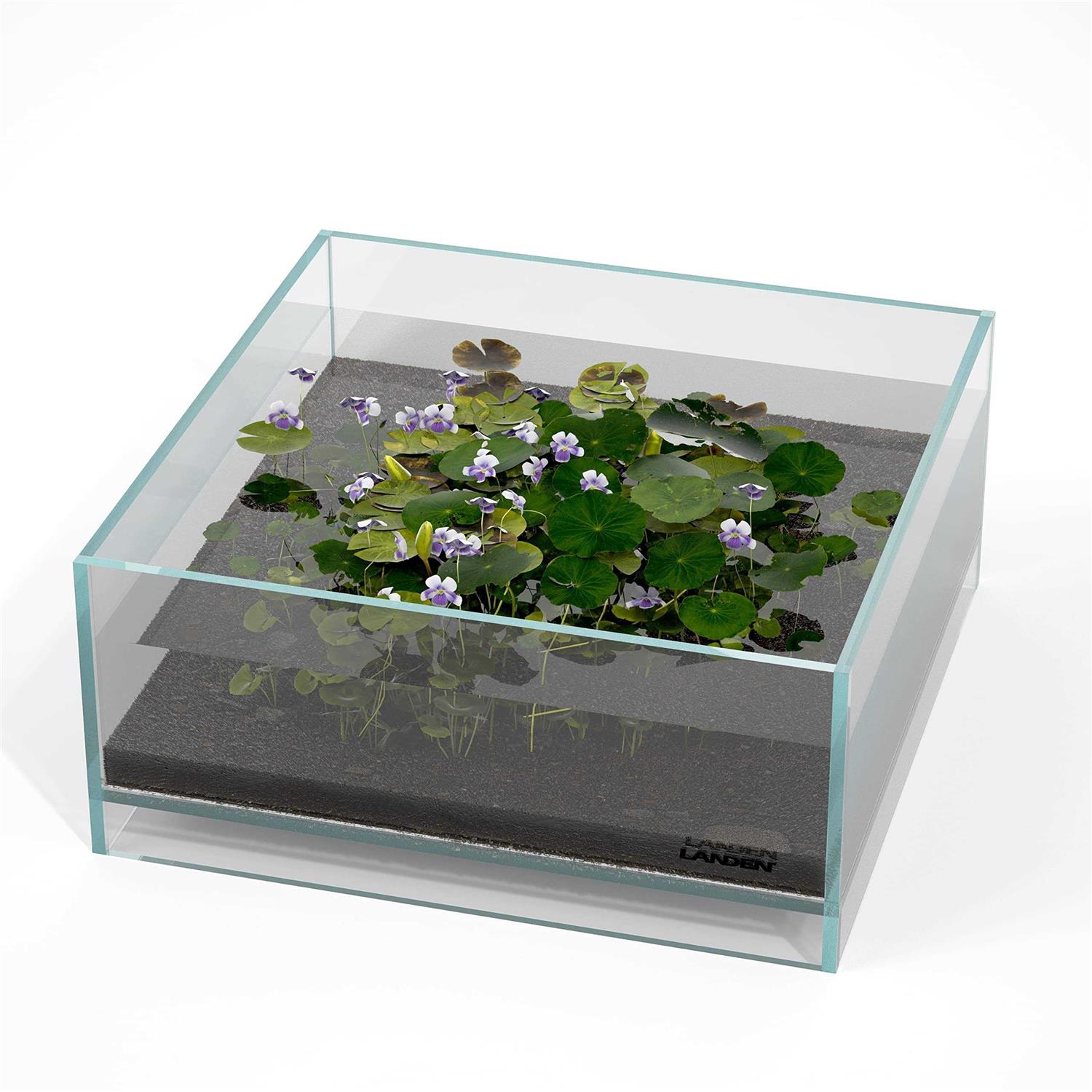 LANDEN Glass Air Aquarium Tank Multi-SceneLandscape Aquarium 1.6Gallon Rimless Low Iron Shallow Tank,W10.6×D10.6×H4.7 in 5mm Thickness - Healthber