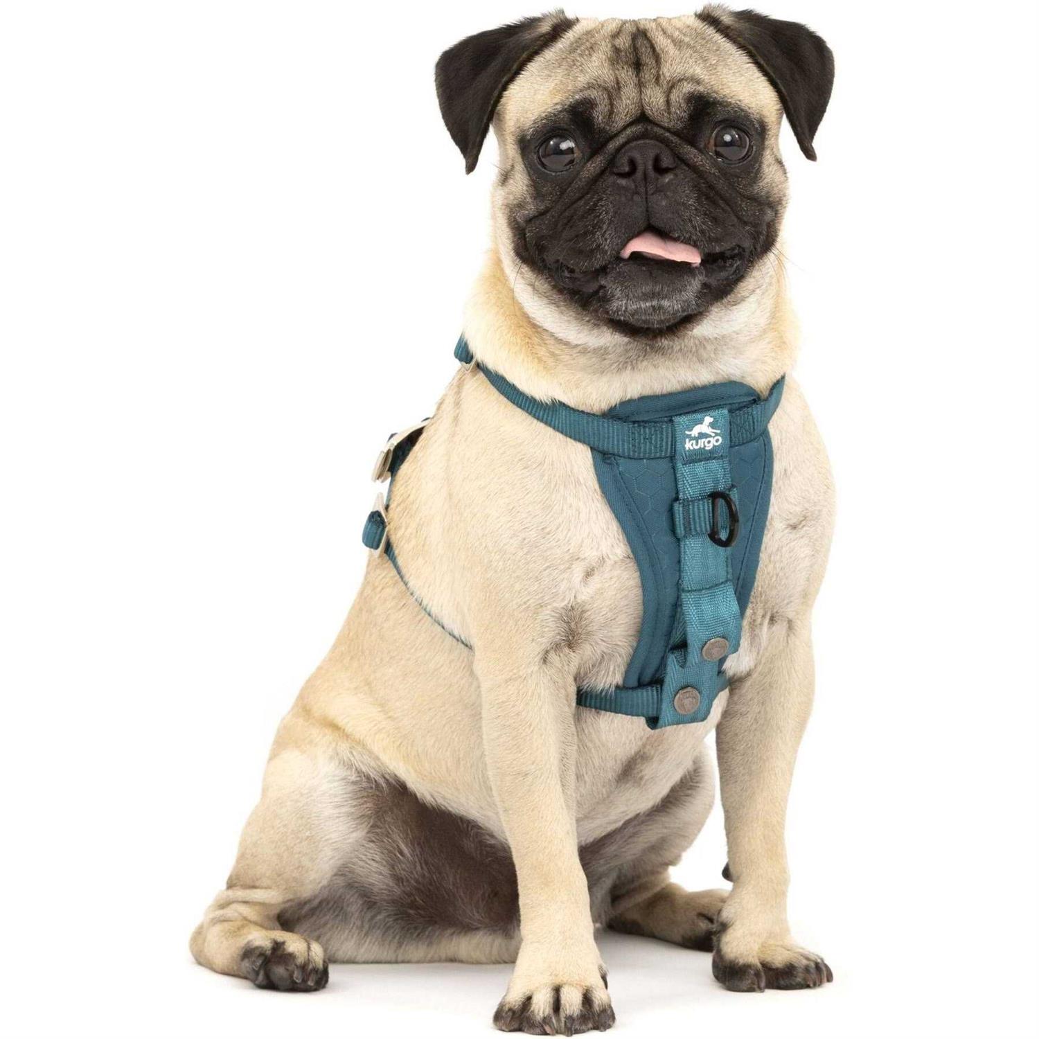 Kurgo Enhanced Strength Tru-Fit Dog Harness - Healthber