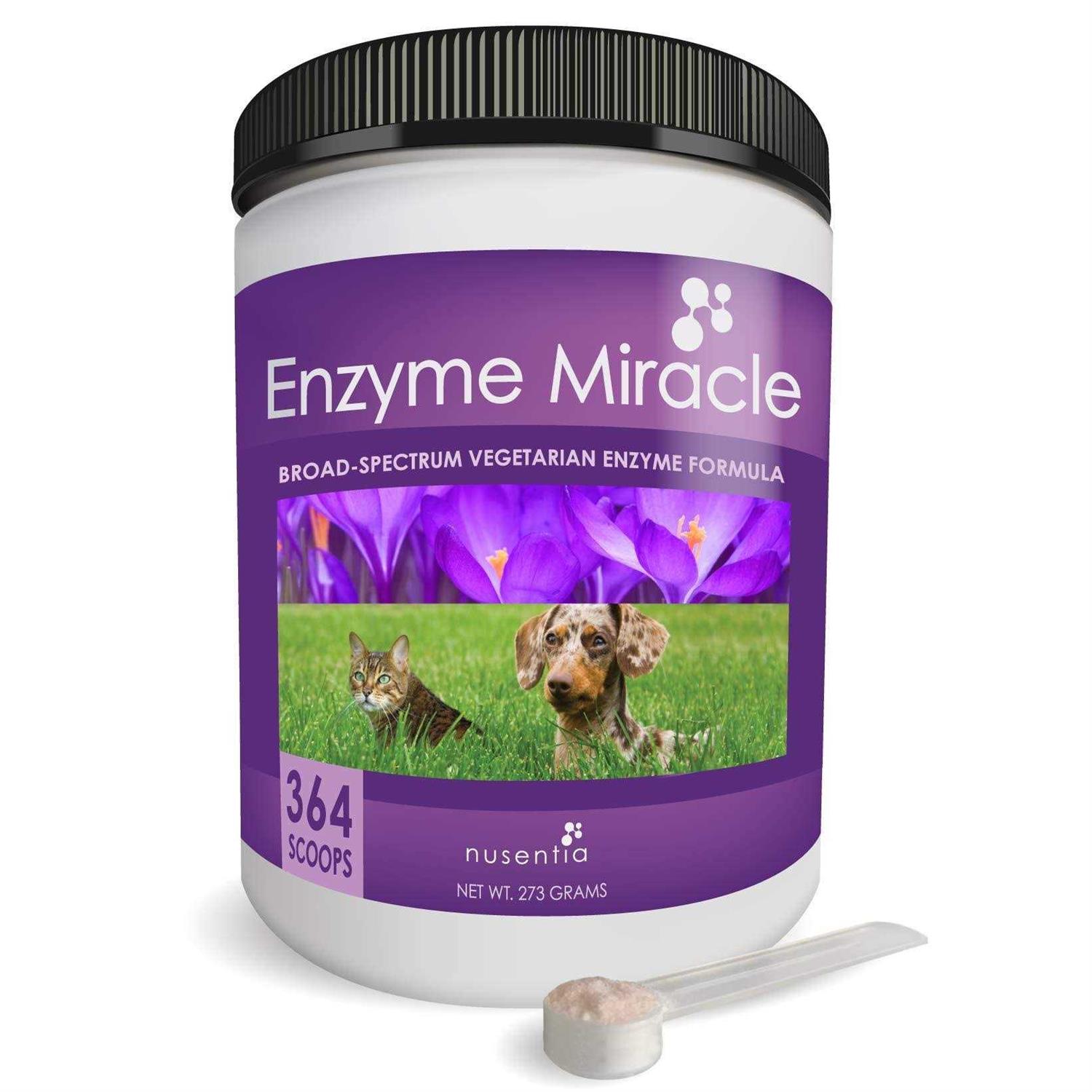 Enzyme Miracle Digestive - Healthber