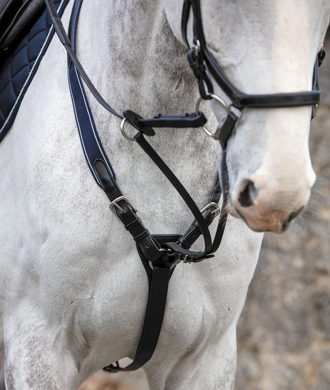 Rambo Micklem Breastplate - Healthber