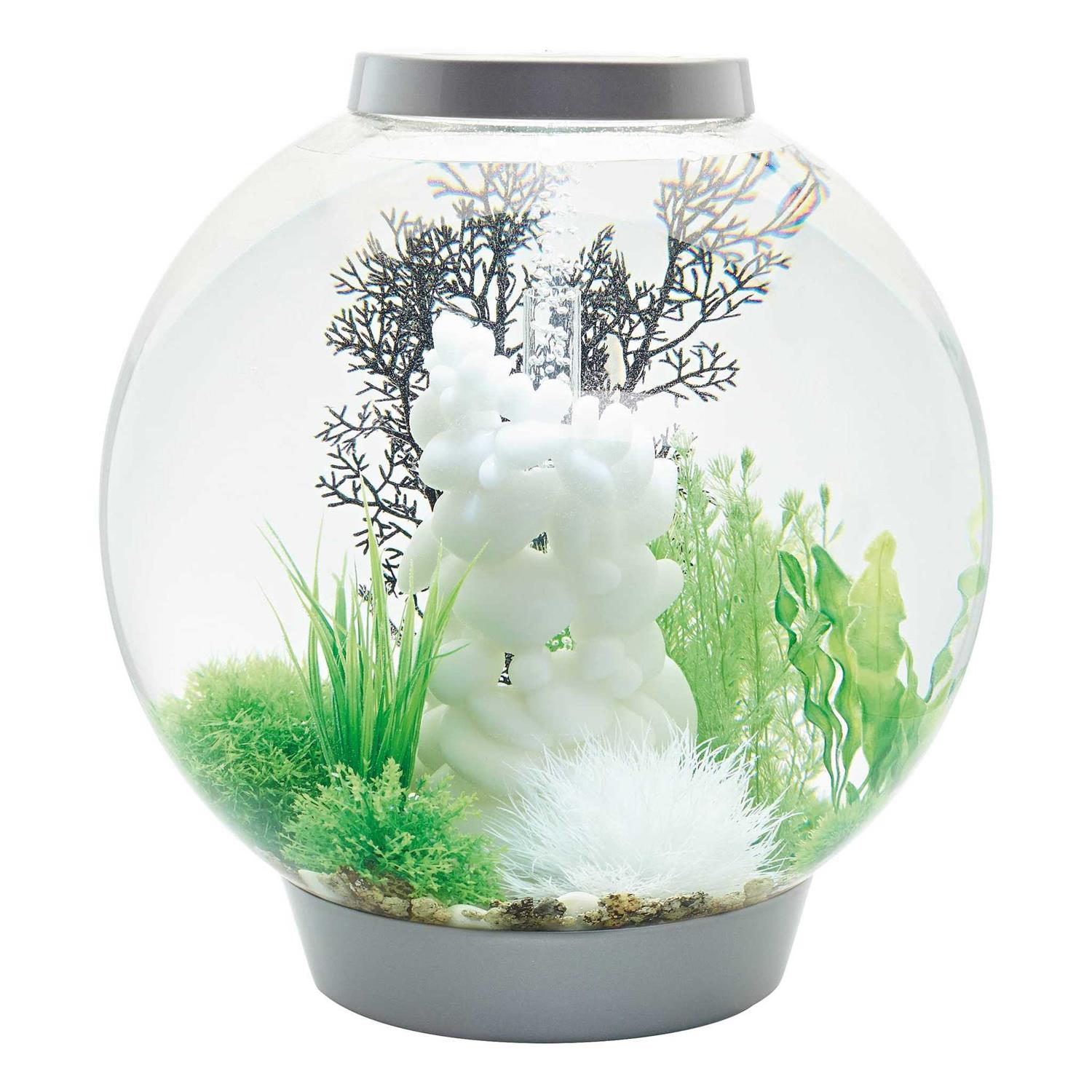 biOrb Classic 60 Aquarium with LED - Healthber