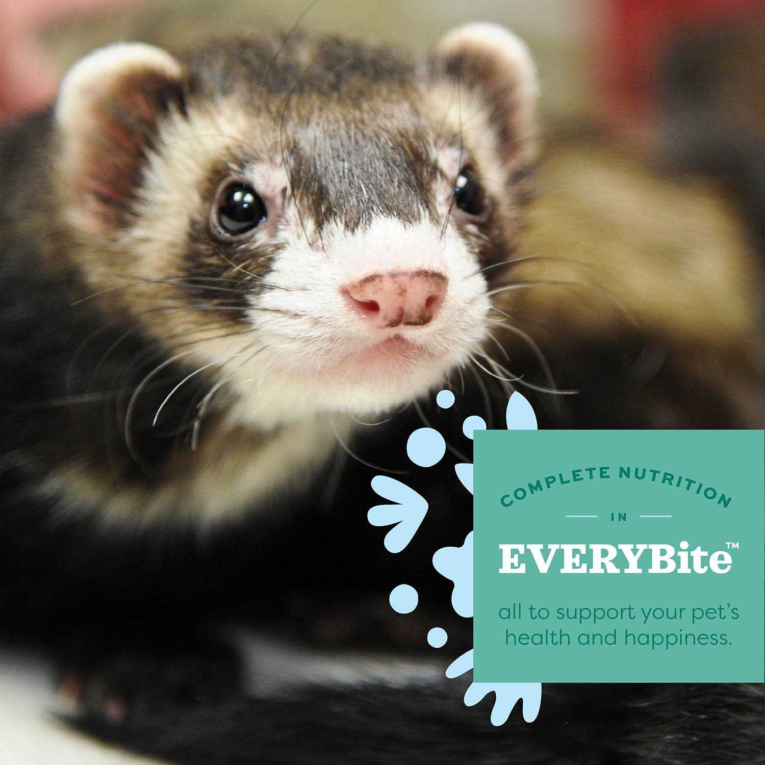Oxbow Essentials Ferret Food - Healthber