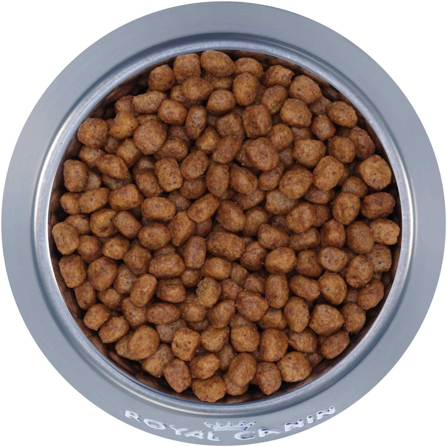 Royal Canin Breed Health Nutrition Chihuahua Adult Dry Dog Food - Healthber