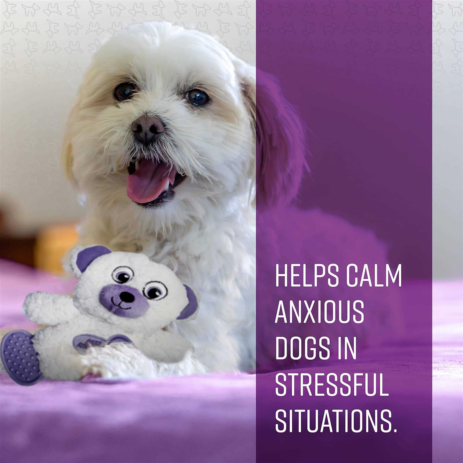 Sentry Calming Toy for Dogs - Healthber