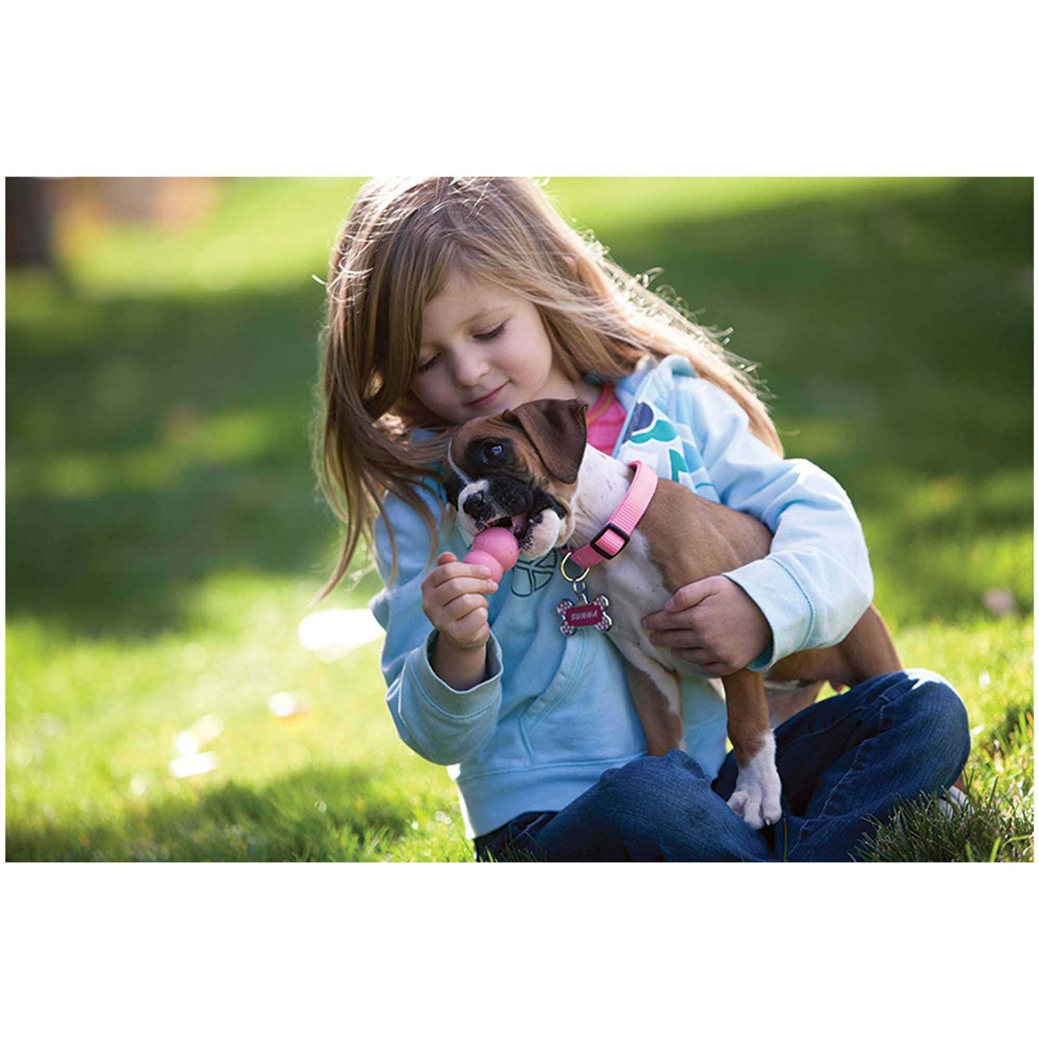 KONG Puppy Toy - Healthber