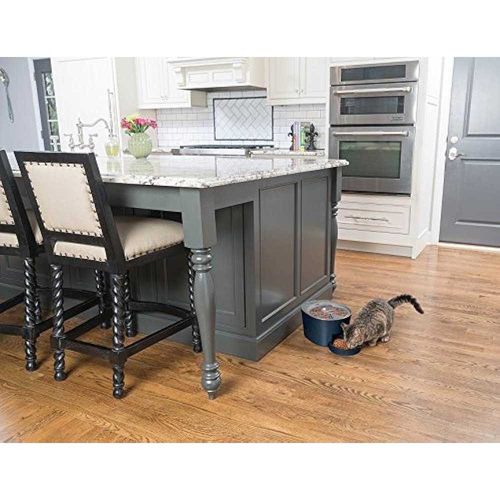 PetSafe Six Meal Automatic Pet Feeder - Healthber
