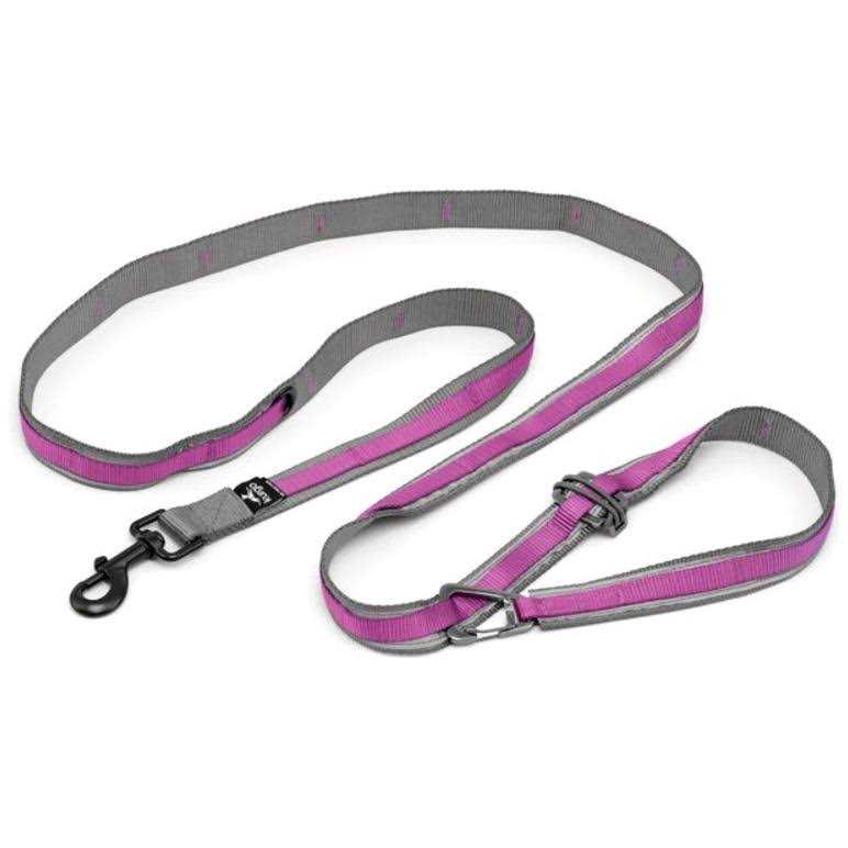 Kurgo Quantum Dog Leash - Healthber