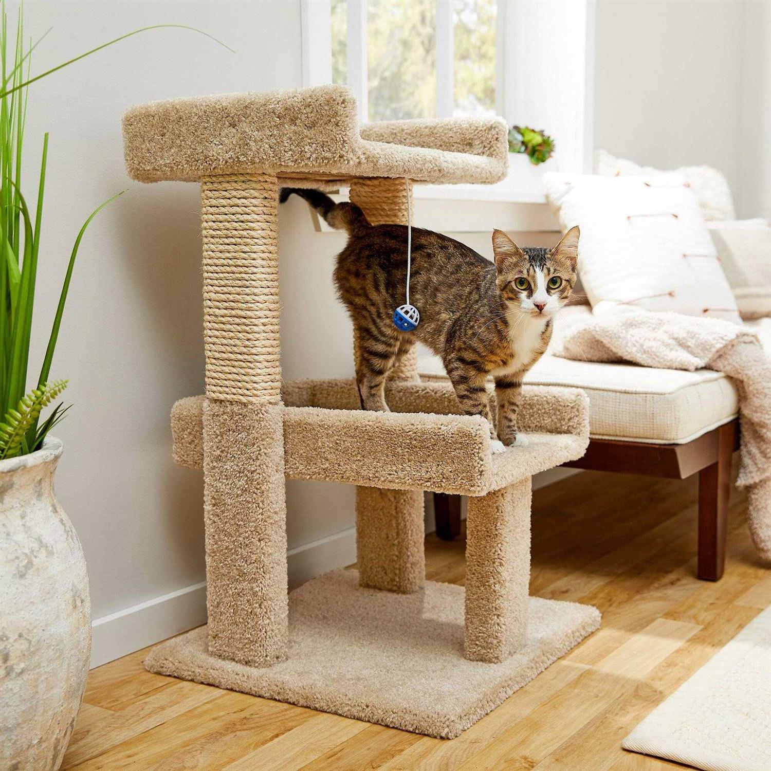 Frisco 32-in Real Carpet Wooden Cat Tree with Toy - Healthber