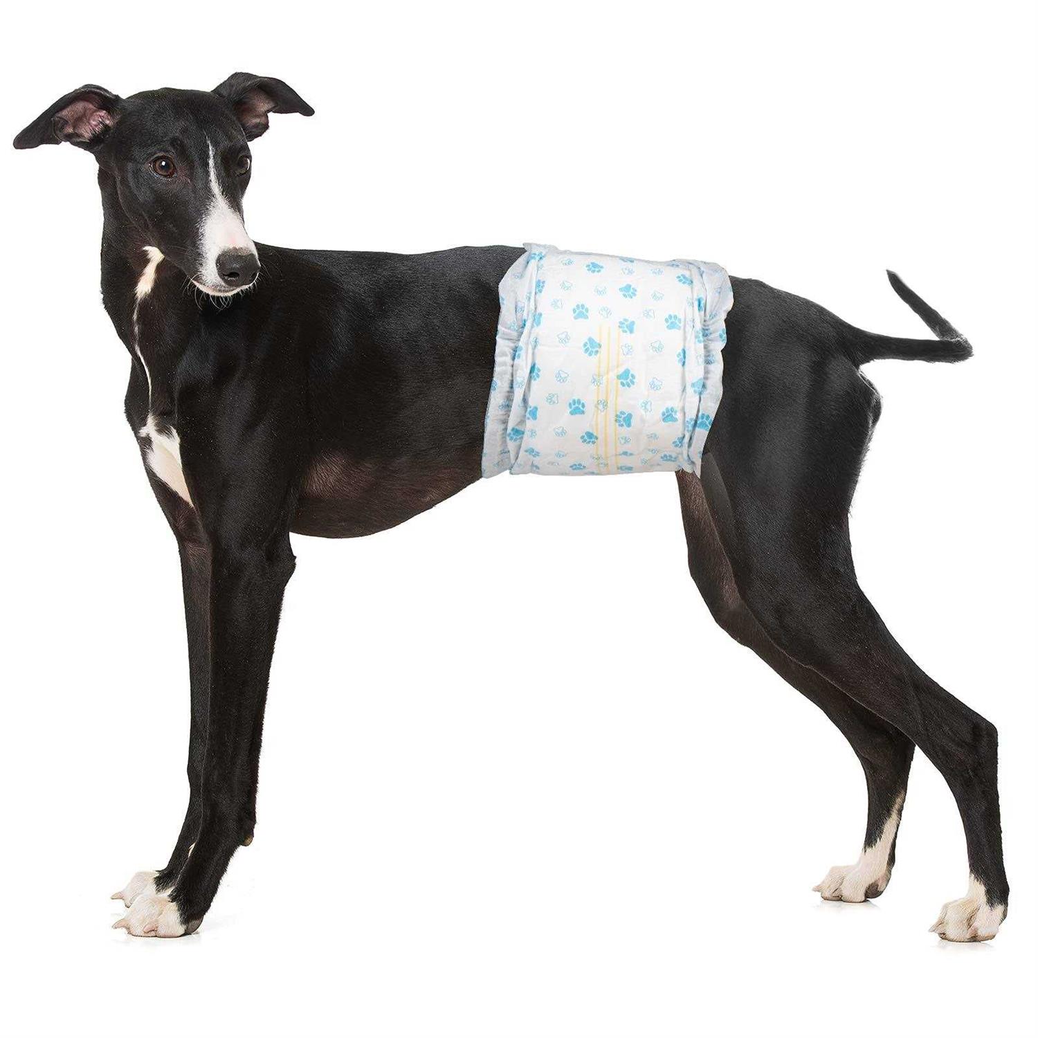 Pet Soft Disposable Male Dog Wraps Dog Diapers for Male Dogs - Healthber