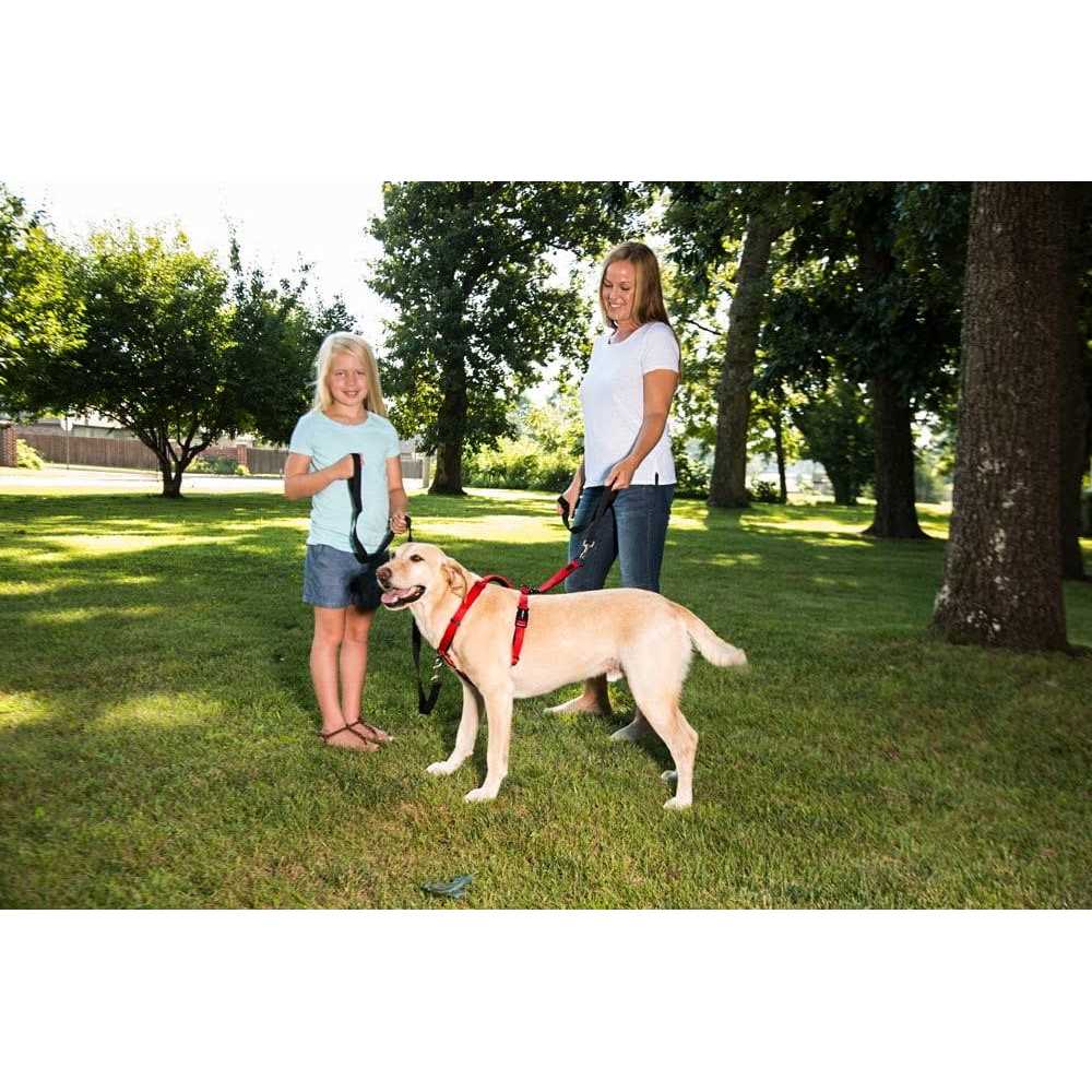 Sporn Ultimate Control Harness - Healthber