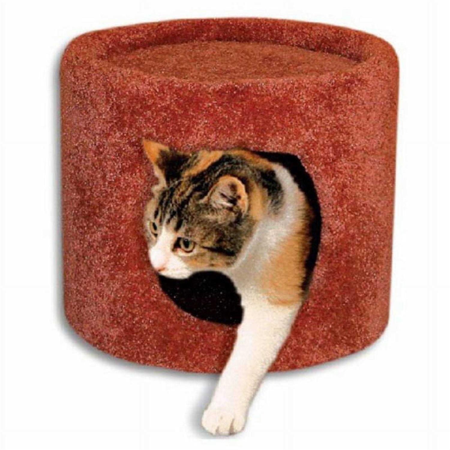 Beatrise Cat Condo - Healthber