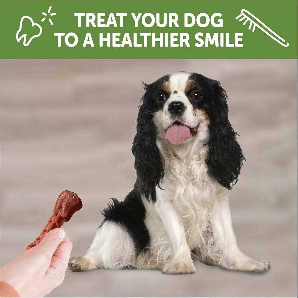 Whimzees Brushzees Dental Treats - Healthber