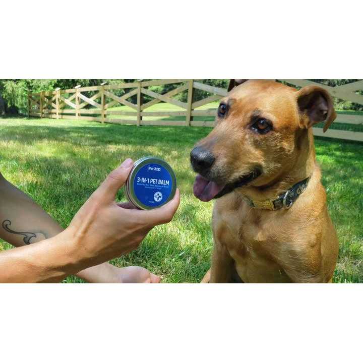Pet MD Store 3-in-1 Pet Balm for Dogs - Healthber