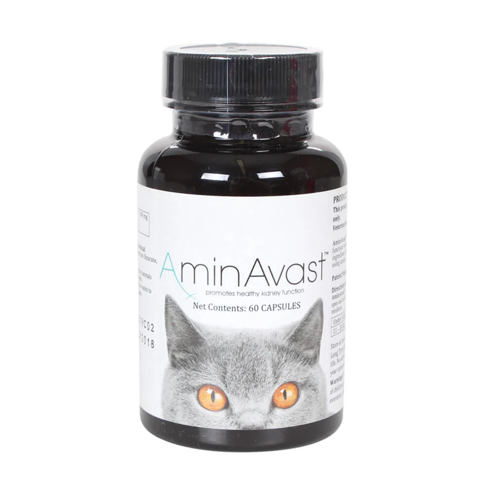 AminAvast for Cats, 60 Capsules - Healthber