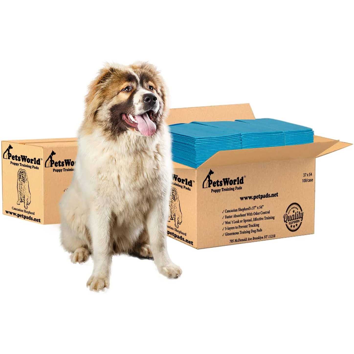petsworld Pet Potty Pads Xxxl Enormous Tear Resistant - Healthber