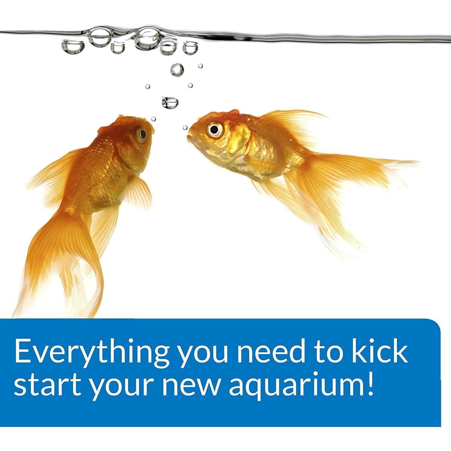 API Aquarium Start Up Pack - Healthber
