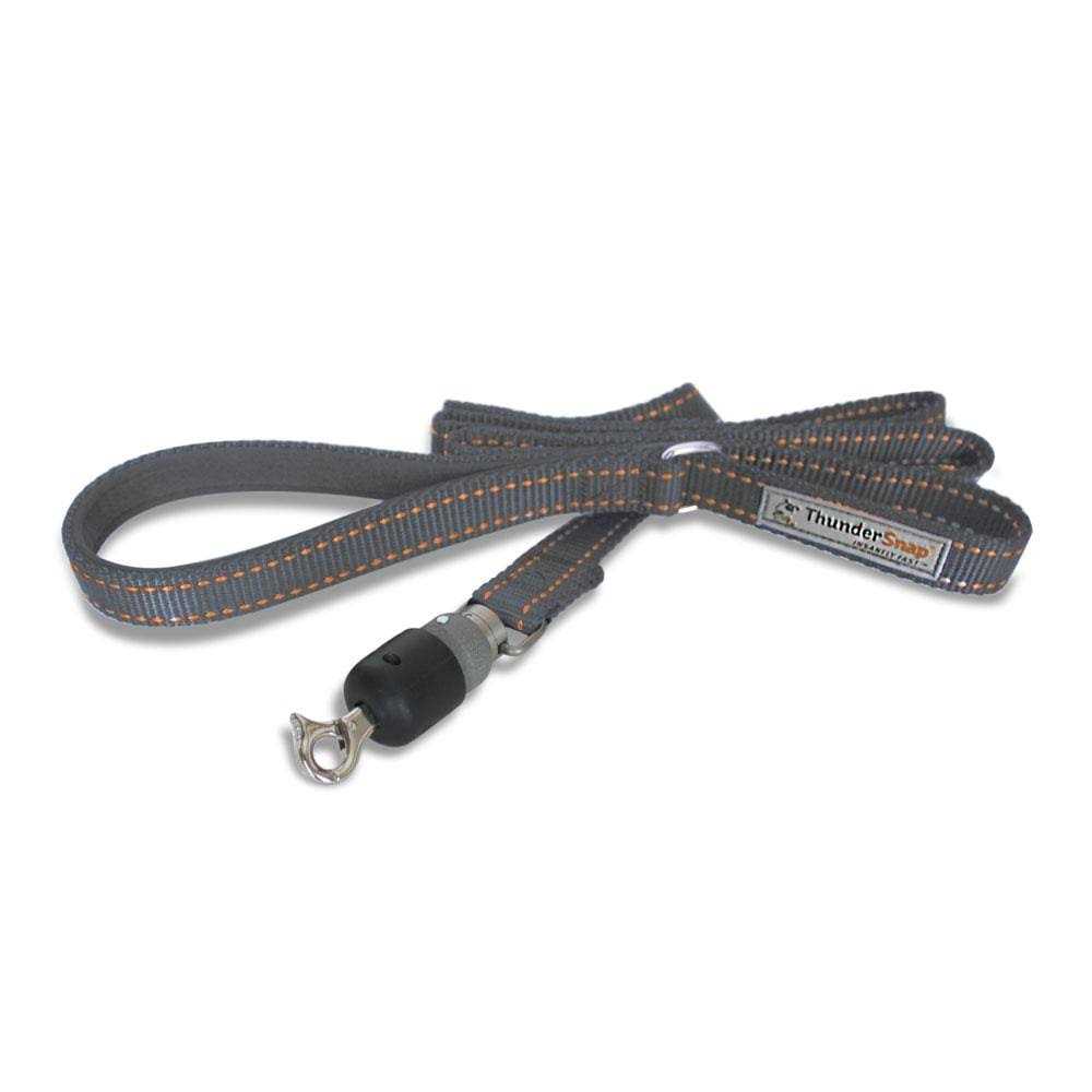 ThunderSnap Quick-Connect Dog Leash - Healthber