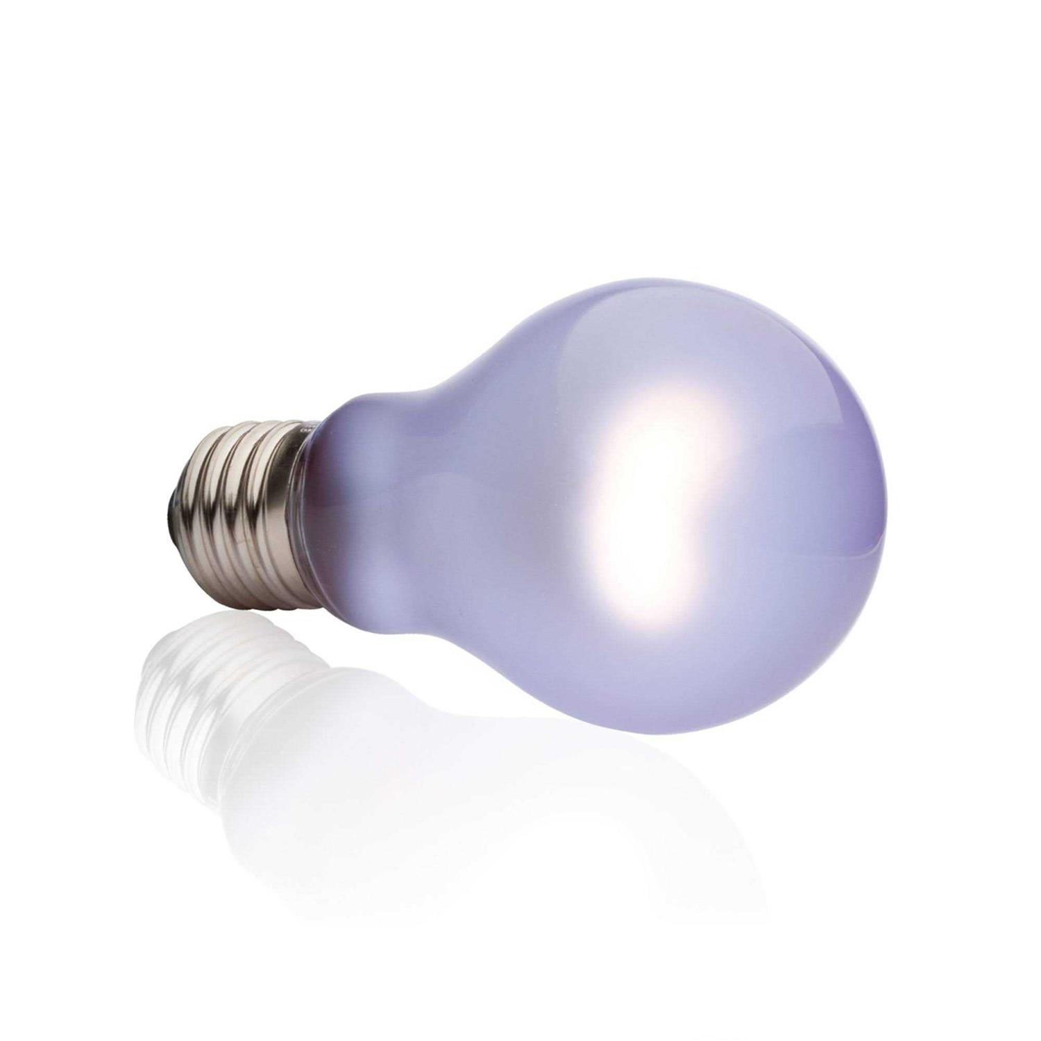 Exo Terra Daytime Heat Lamp - Healthber