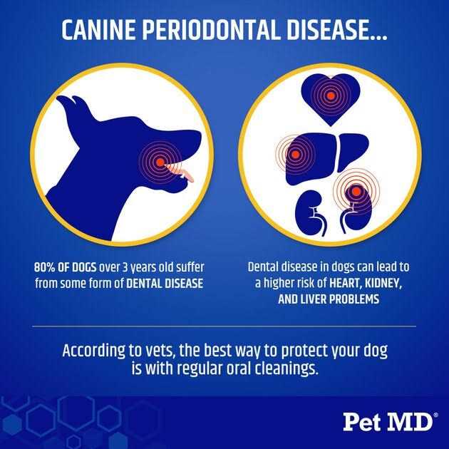 Pet Md Proden Plaqueoff Powder Dog Supplement For Healthy Teeth And Gums 60g - Healthber