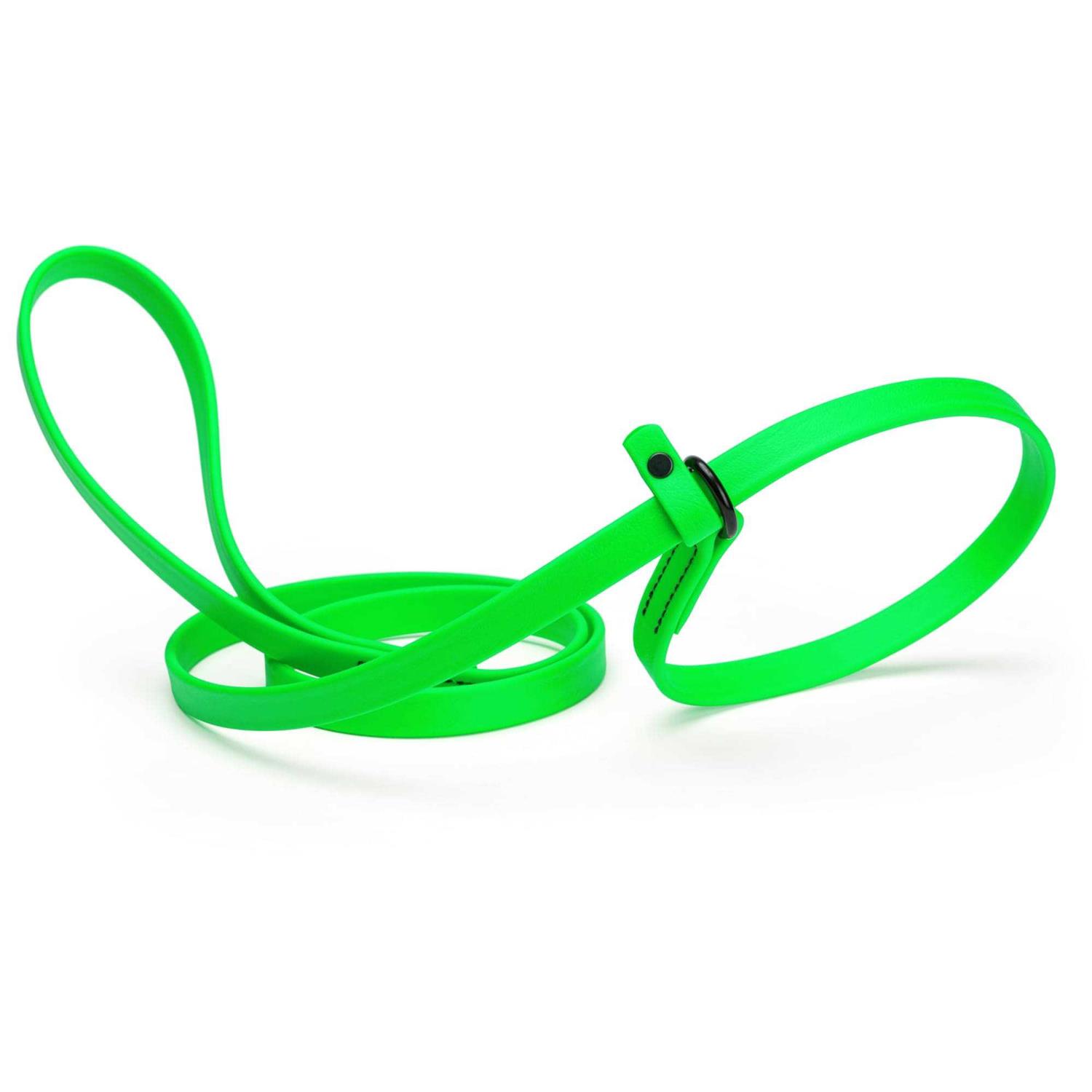 Dogline Biothane Slip Dog Leash for Small, Medium and Large Dogs - Healthber