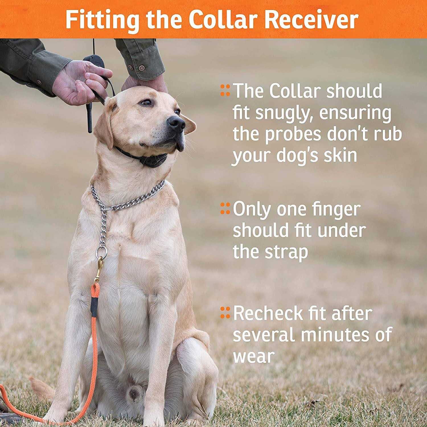 SportDOG FieldTrainer - Healthber