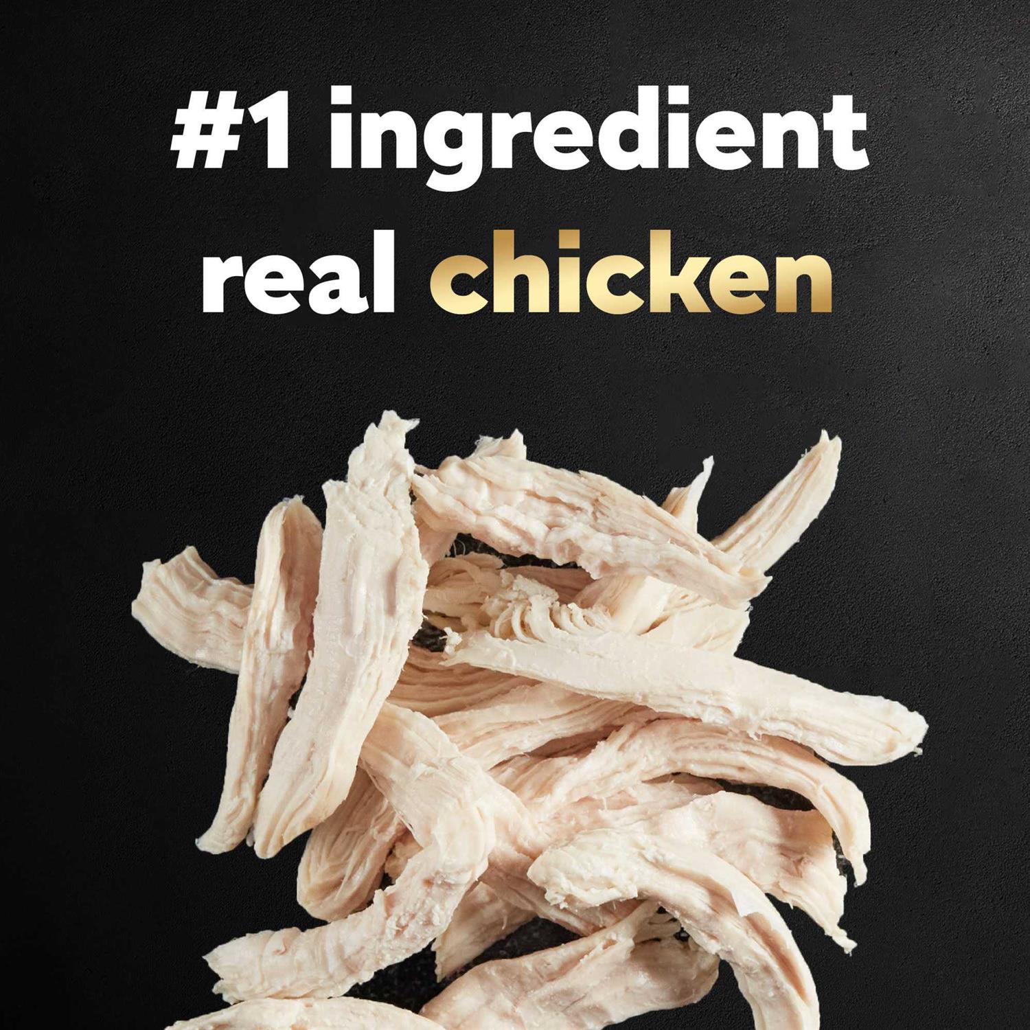 Cesar Simply Crafted Chicken Wet Dog Food - Healthber