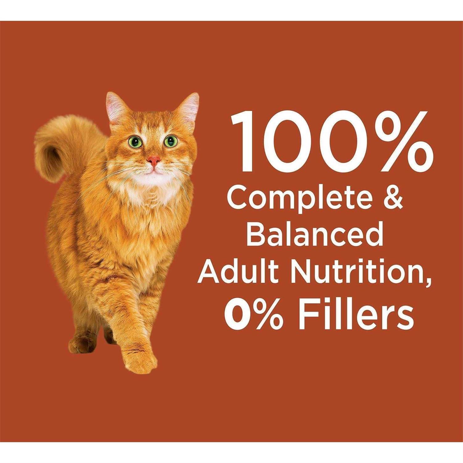 Iams Proactive Health High Protein Adult Dry Cat Food with Chicken & Salmon - Healthber