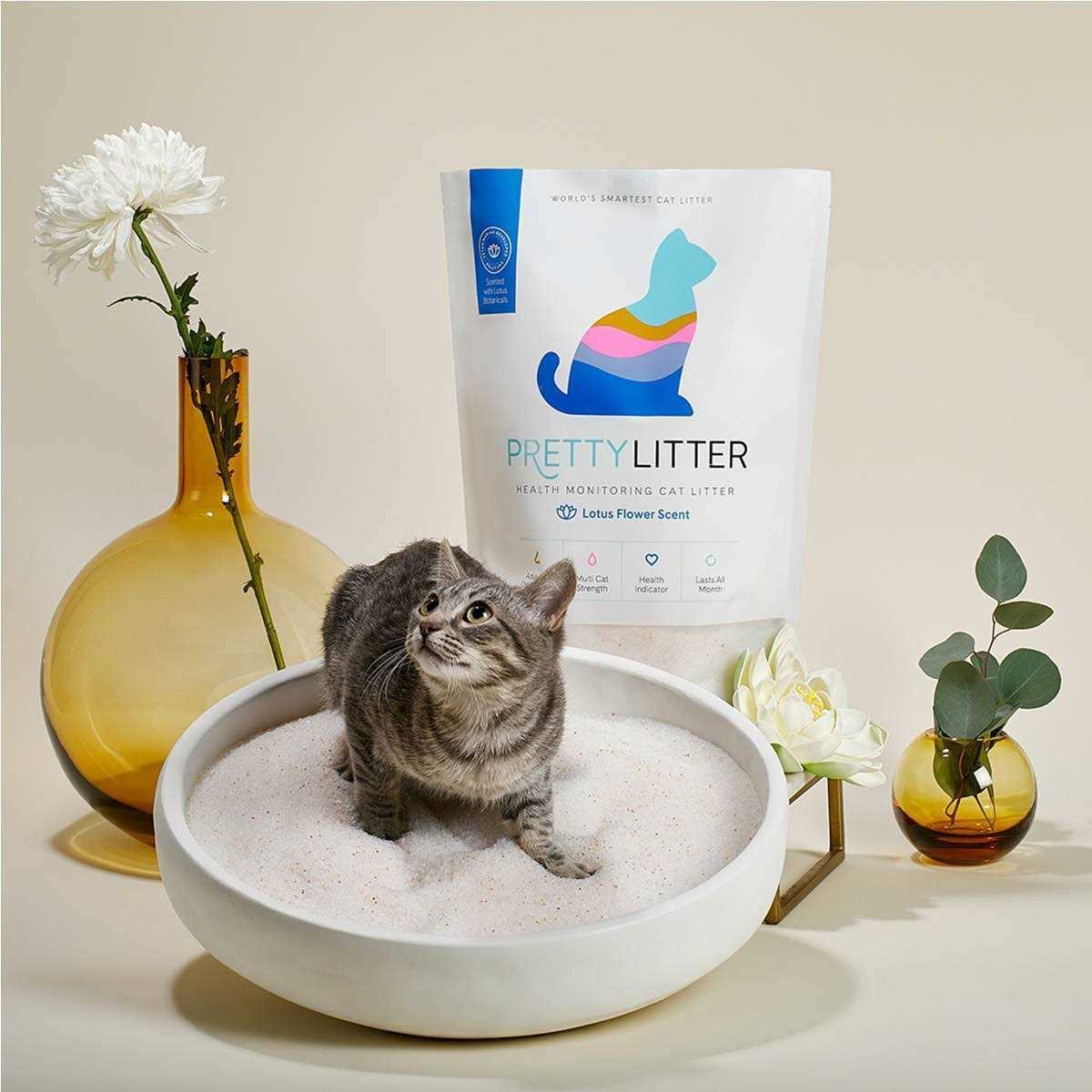 PrettyLitter Lotus Flower Health Monitoring Cat Litter - Healthber