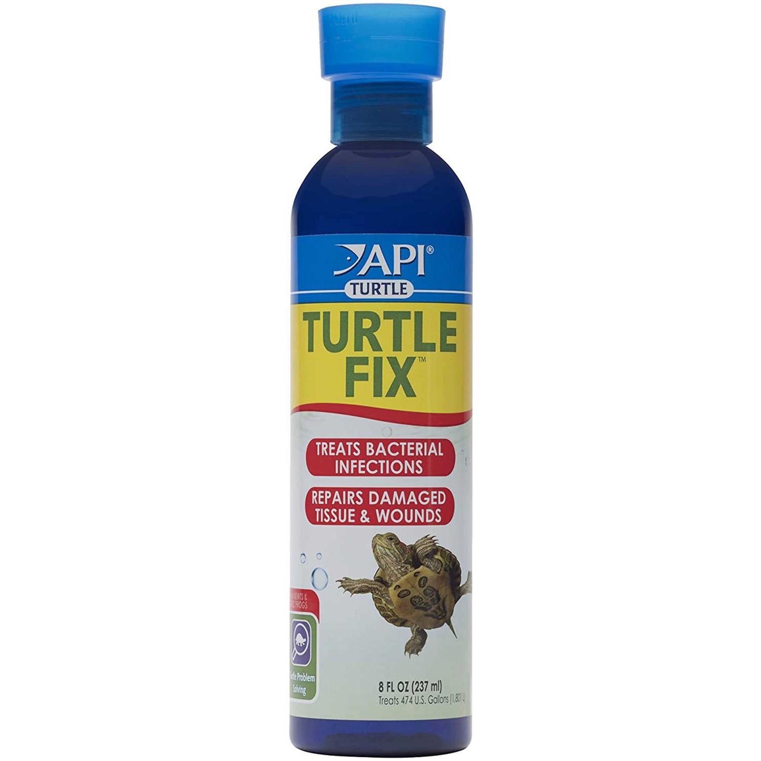 API Turtle Fix - Healthber