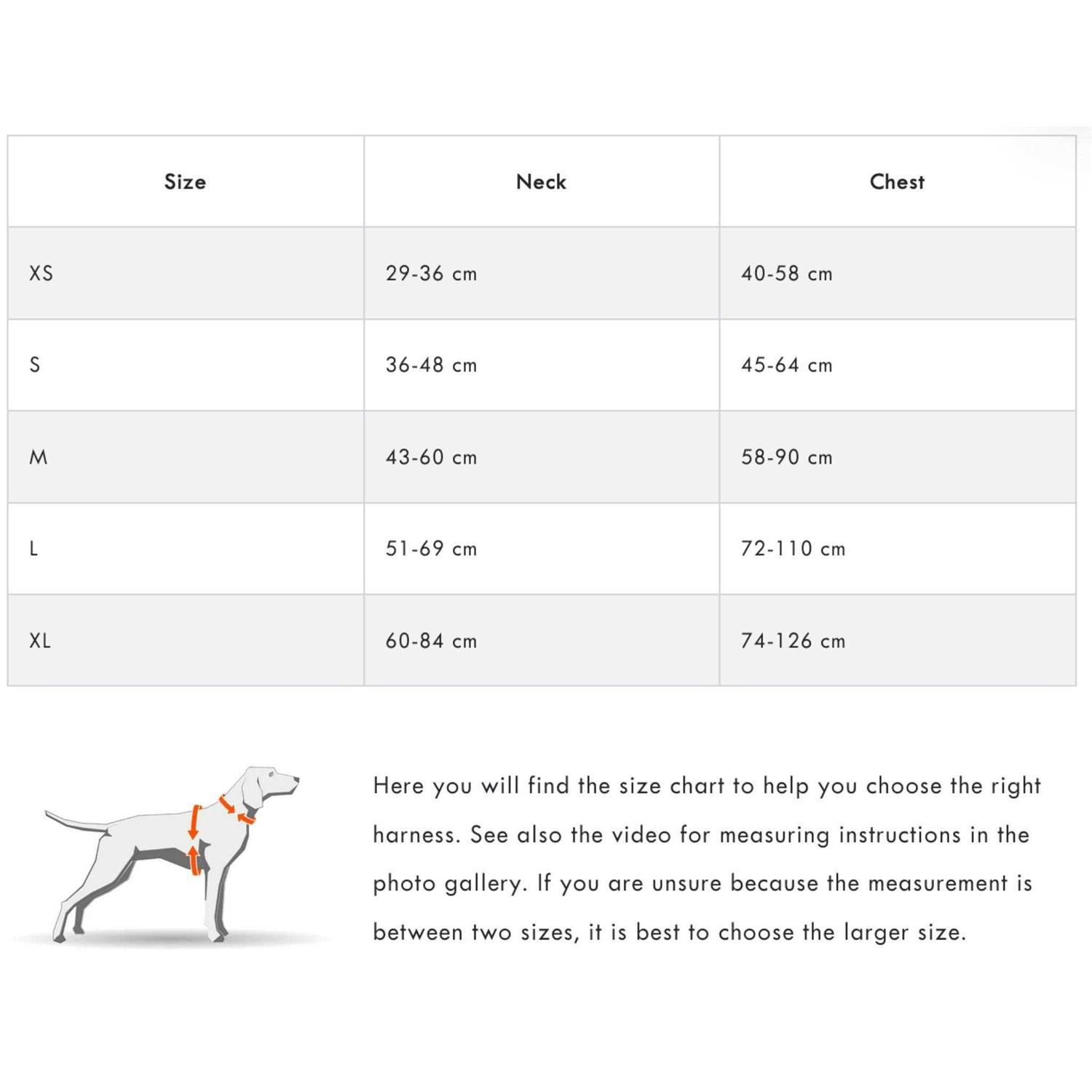 Non-stop Dogwear Ramble Harness - Healthber