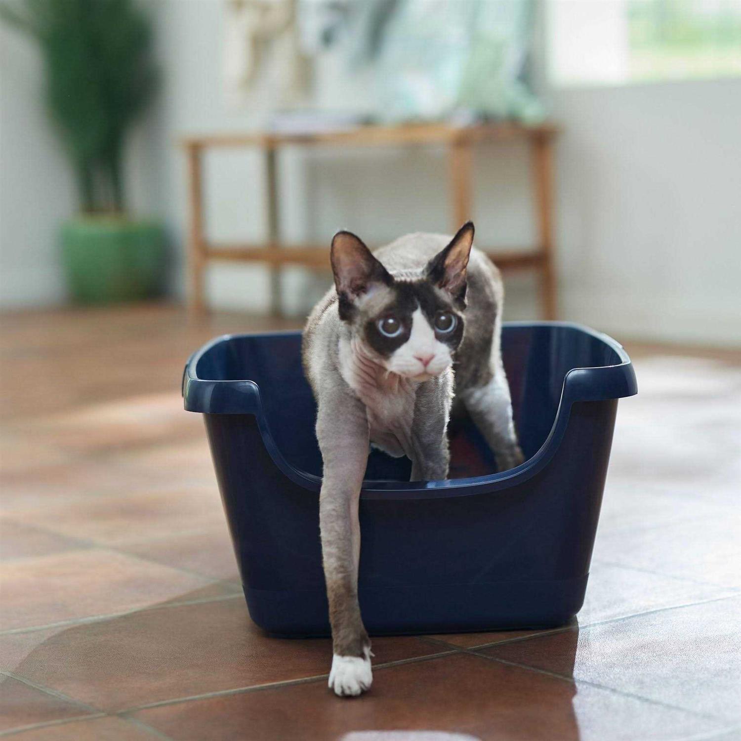 Frisco High Sided Cat Litter Box - Healthber