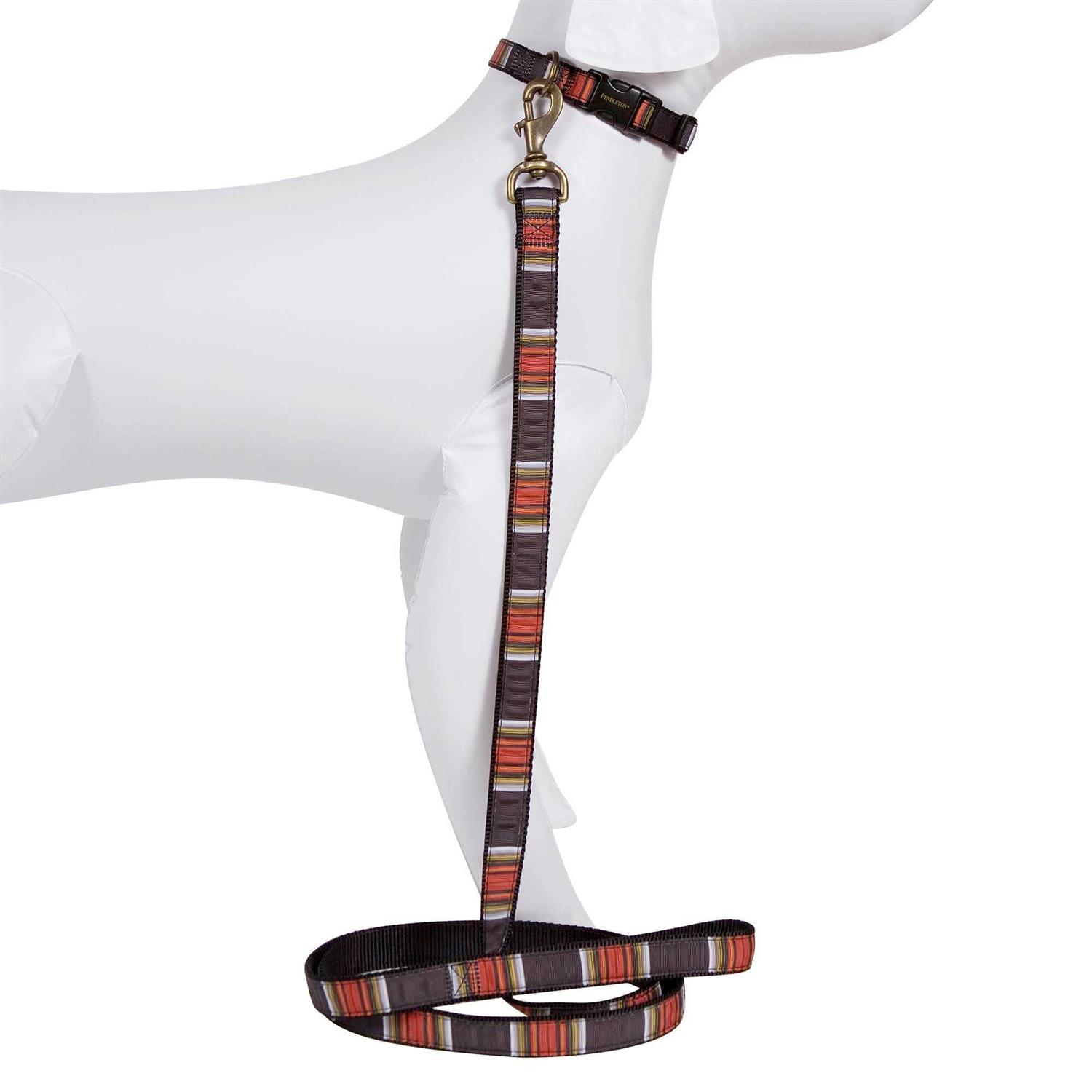Pendleton Dog Collar National Park Hiker - Healthber